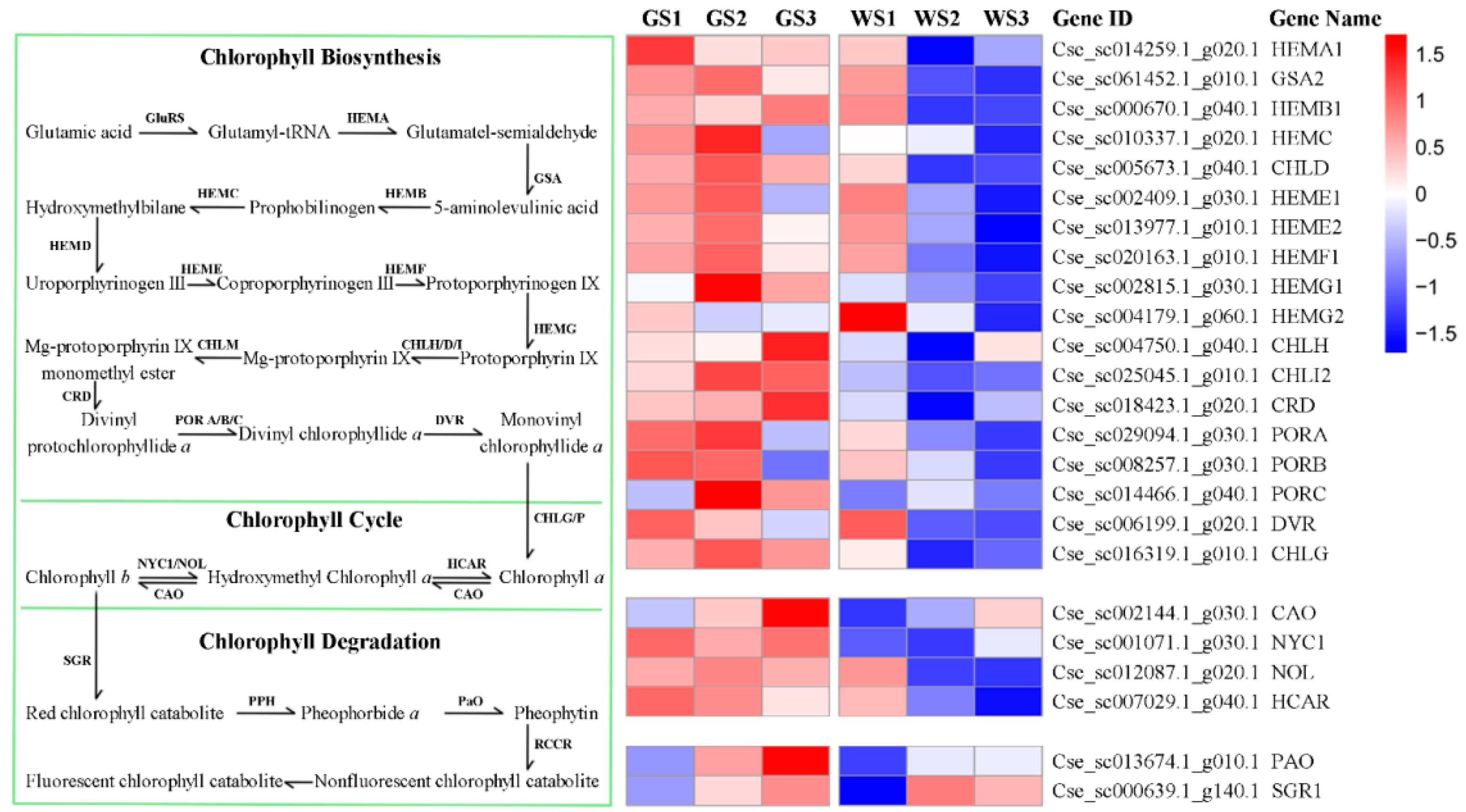 Genes 12 00449 g004 Genes 12 00449 g004