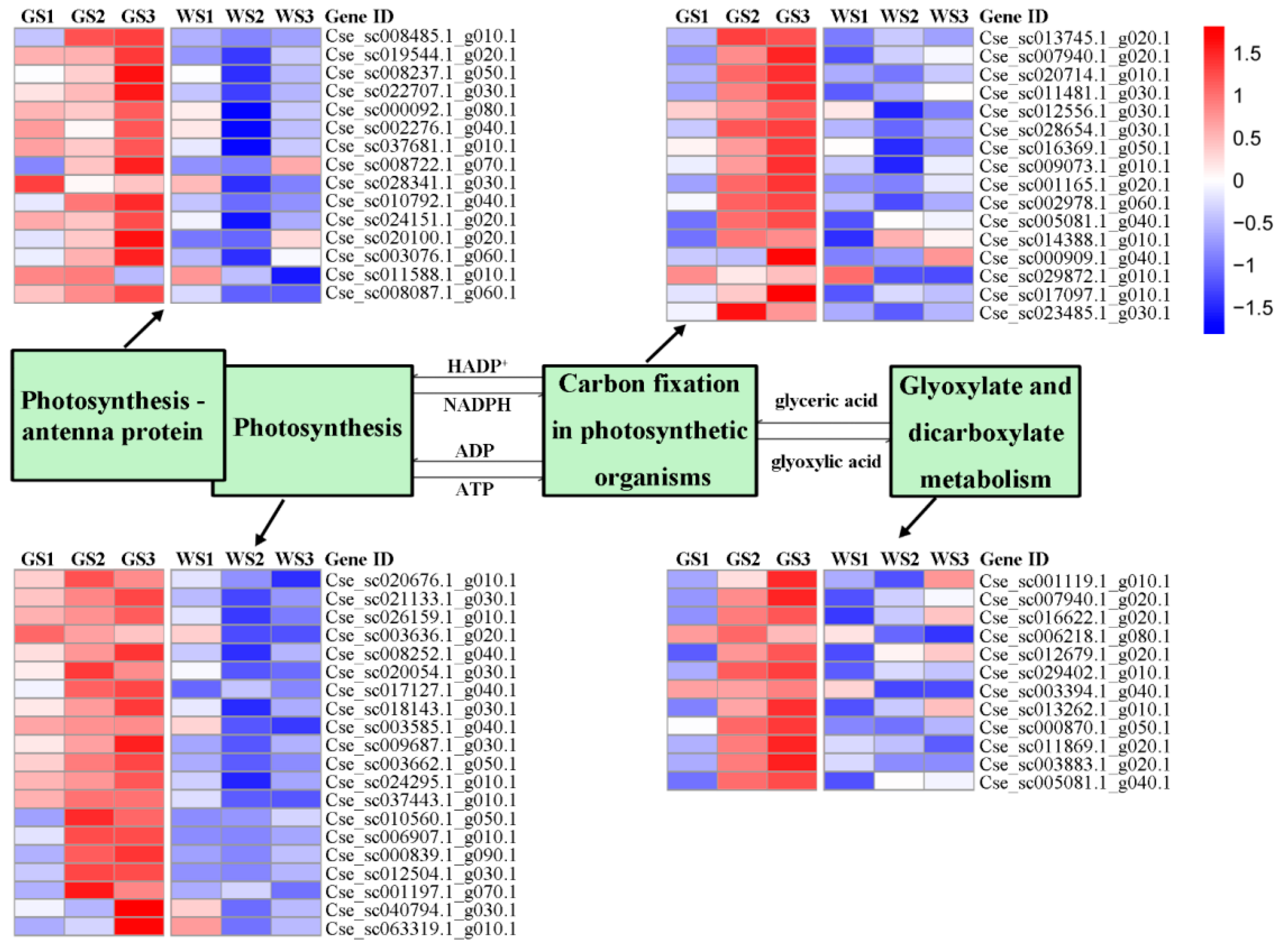 Genes 12 00449 g006 Genes 12 00449 g006