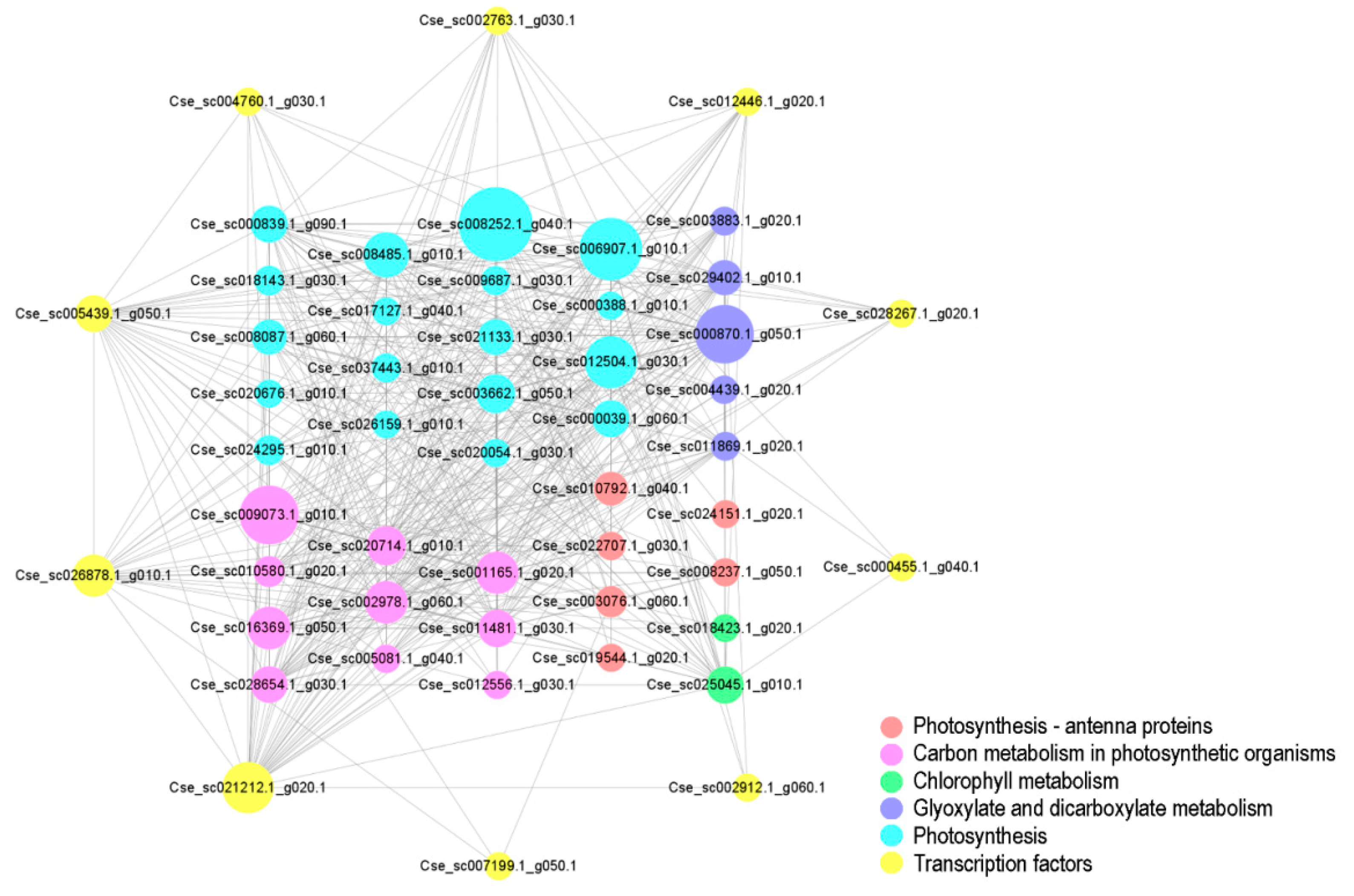 Genes 12 00449 g008 Genes 12 00449 g008