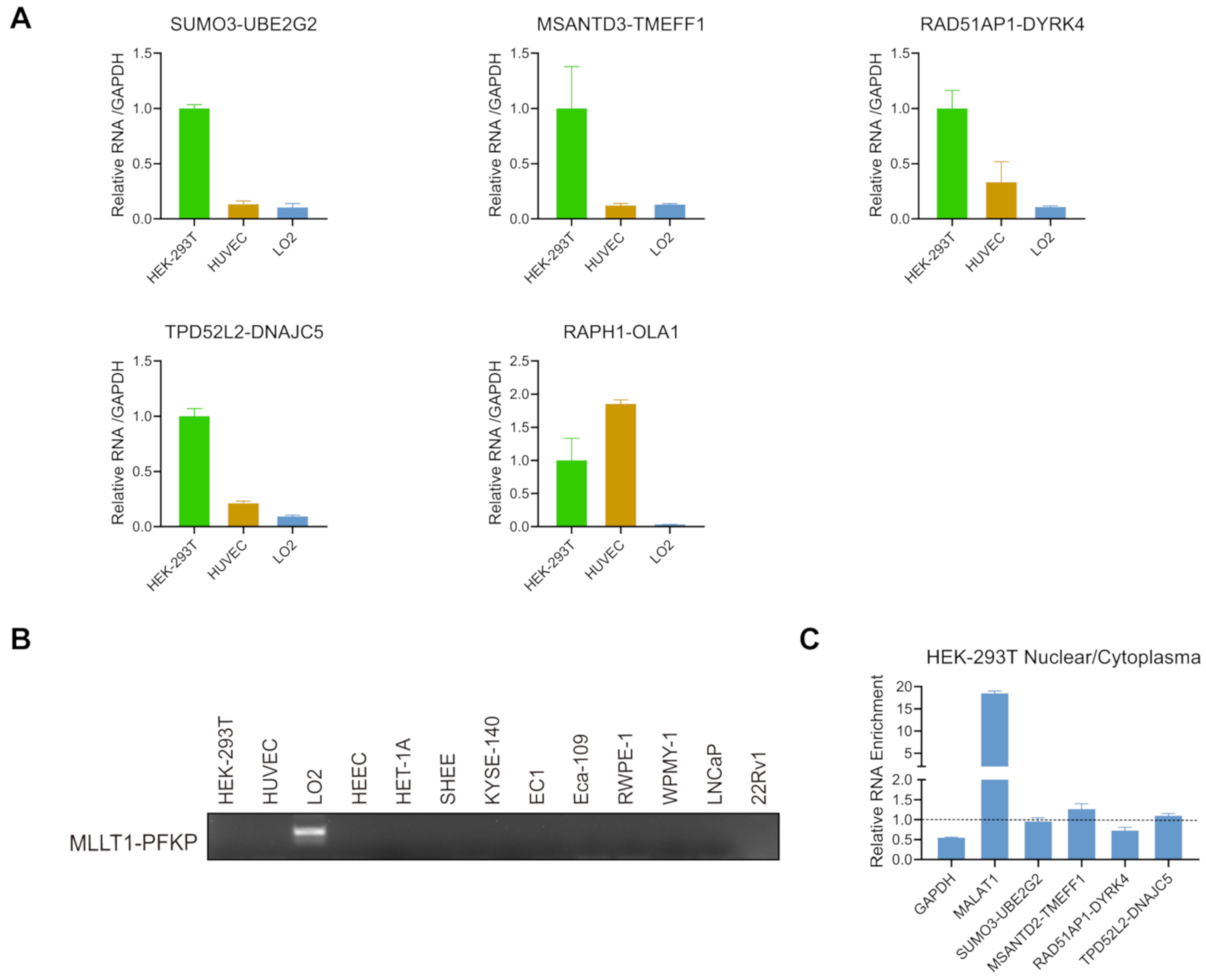 Genes 12 00466 g004 Genes 12 00466 g004