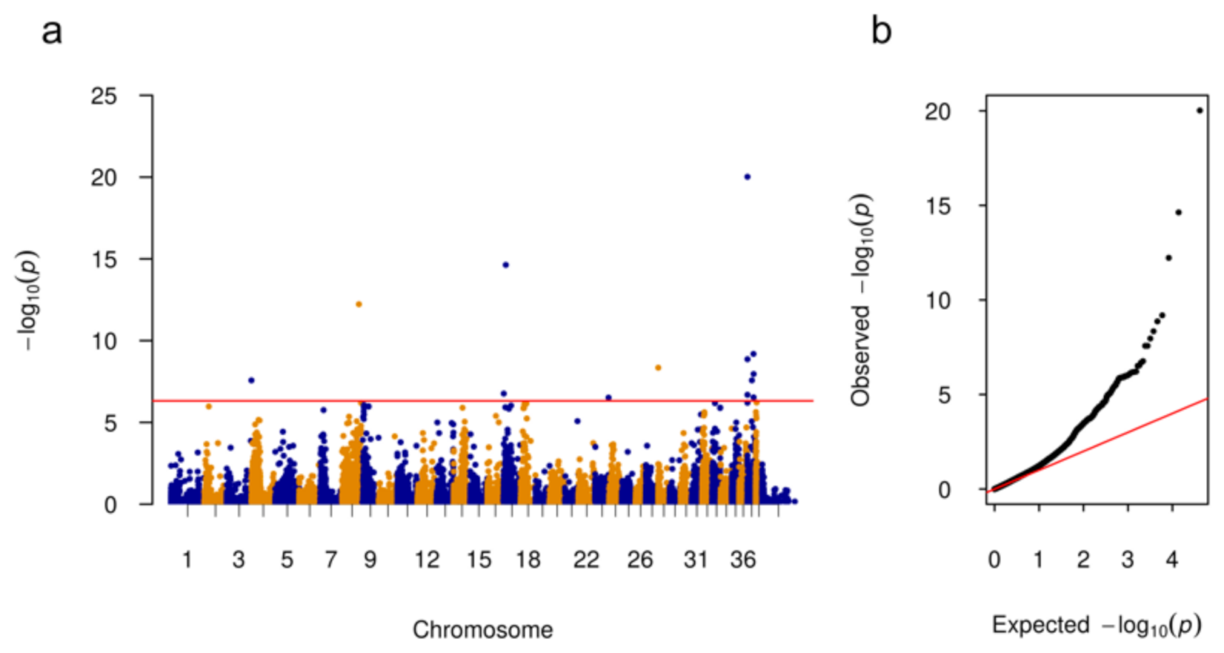 Genes 12 00467 g001 Genes 12 00467 g001
