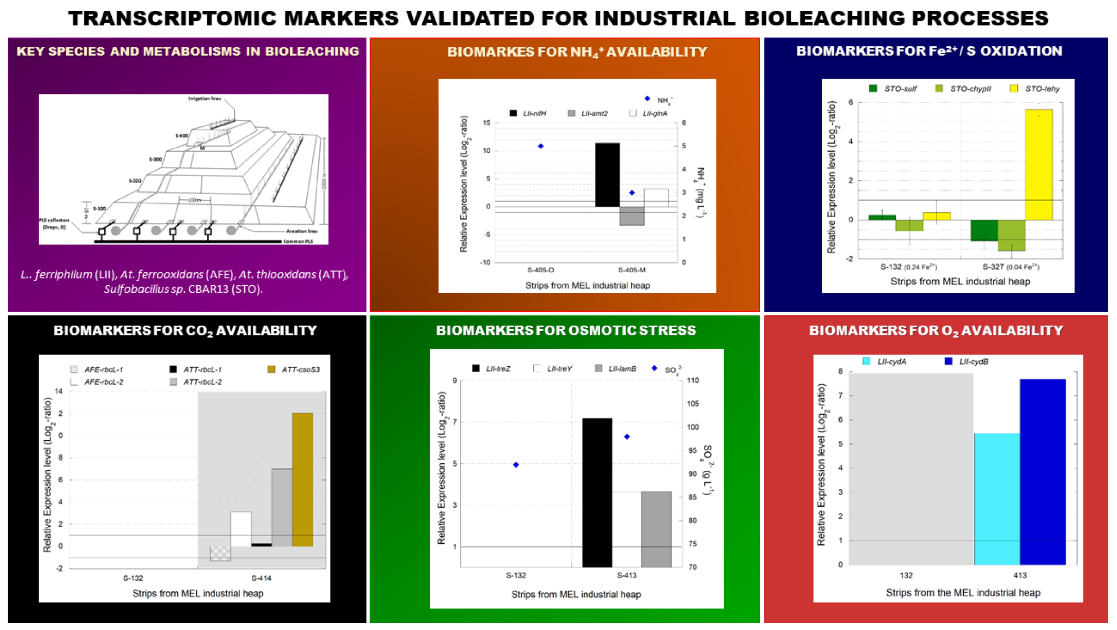 Genes 12 00474 g013 Genes 12 00474 g013
