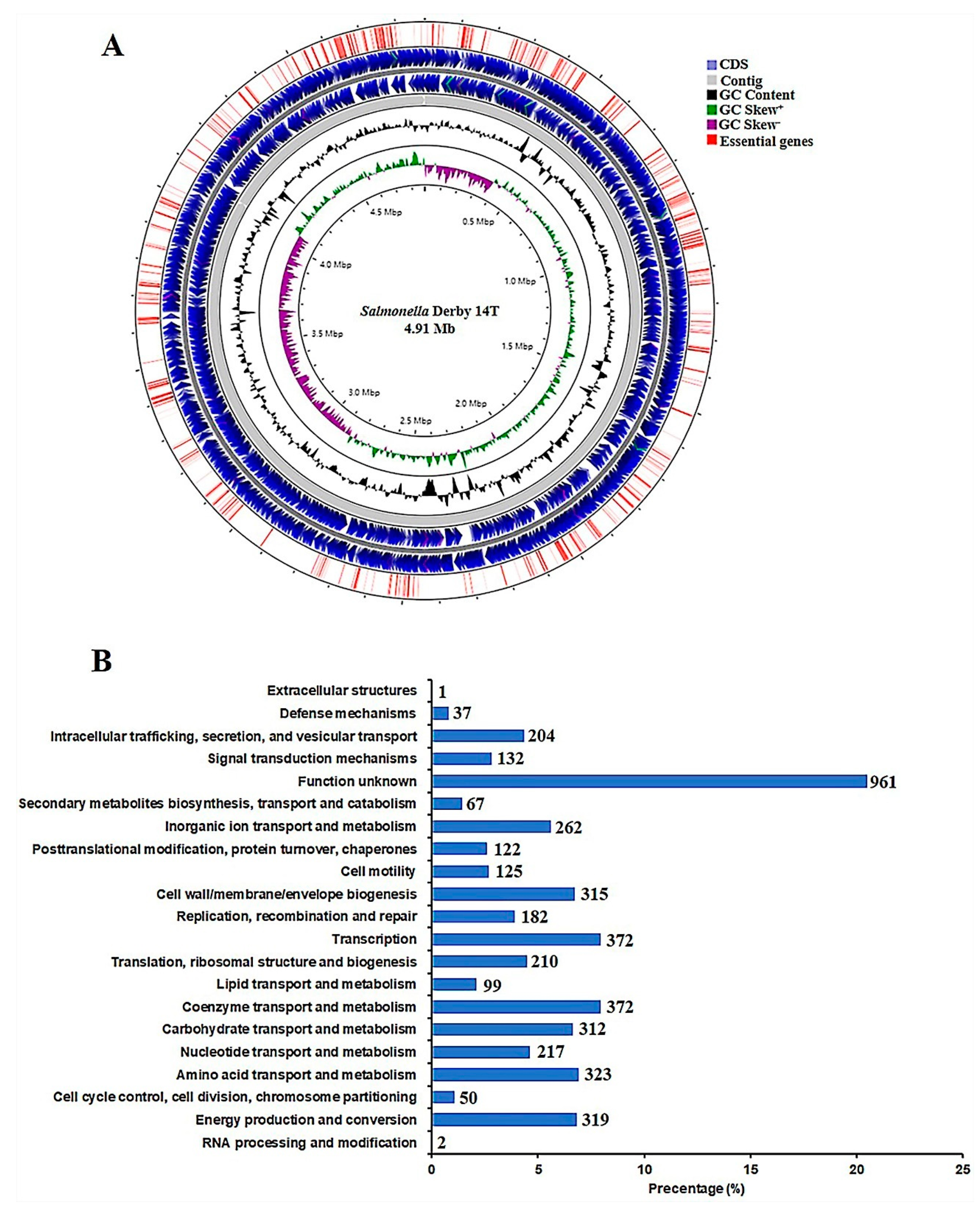 Genes 12 00476 g001 Genes 12 00476 g001