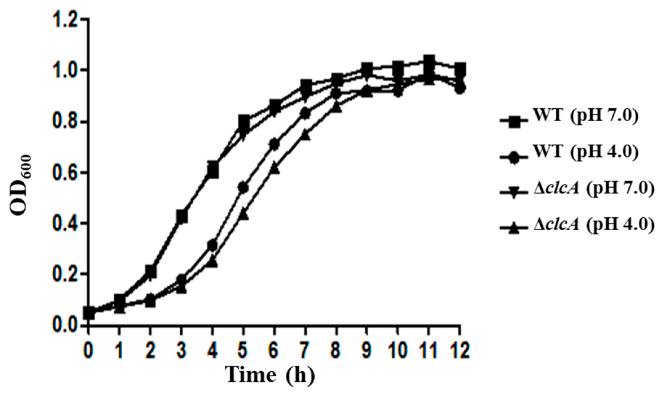 Genes 12 00476 g004 Genes 12 00476 g004