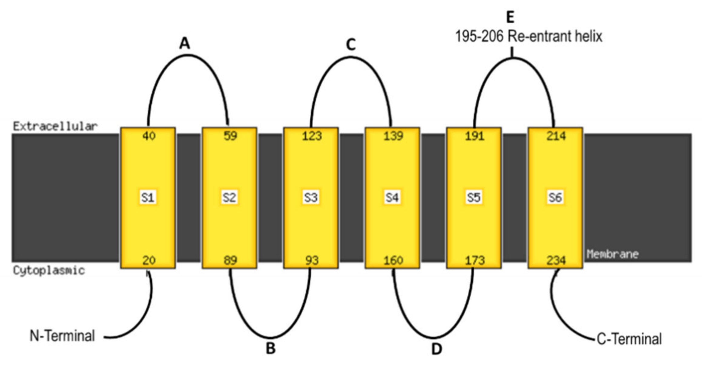 Genes 12 00477 g001 Genes 12 00477 g001