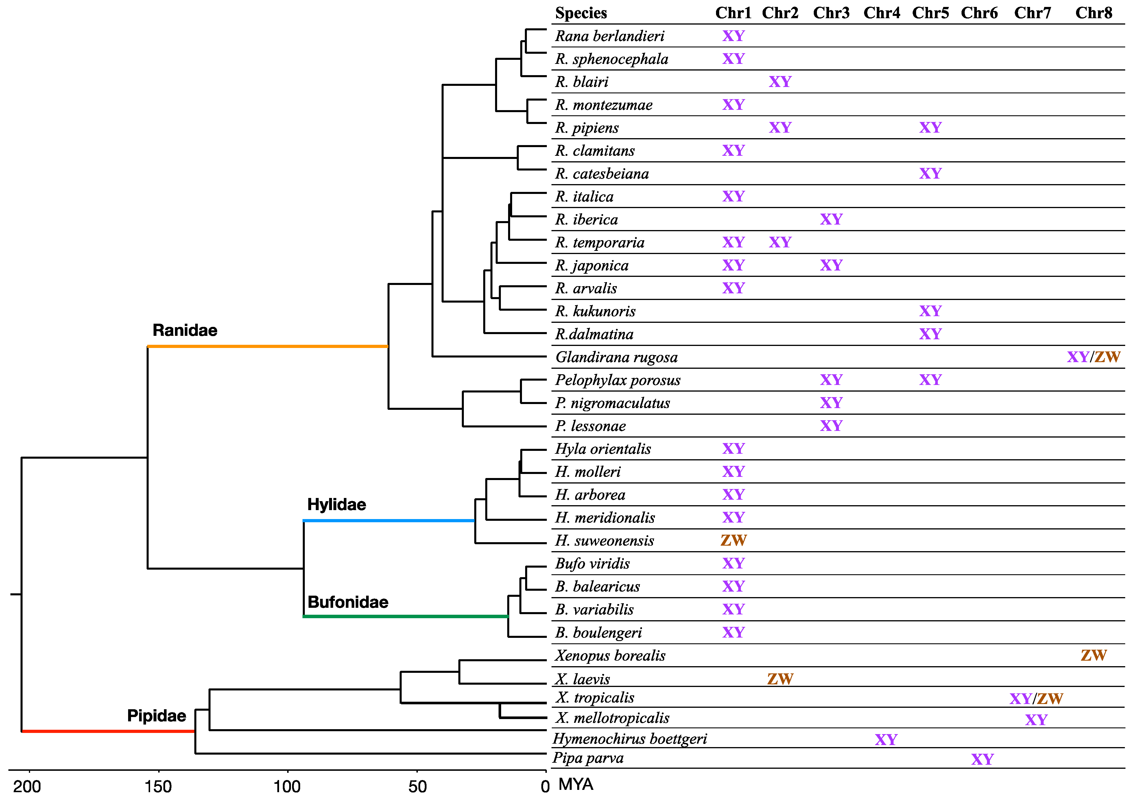 Genes 12 00483 g003
