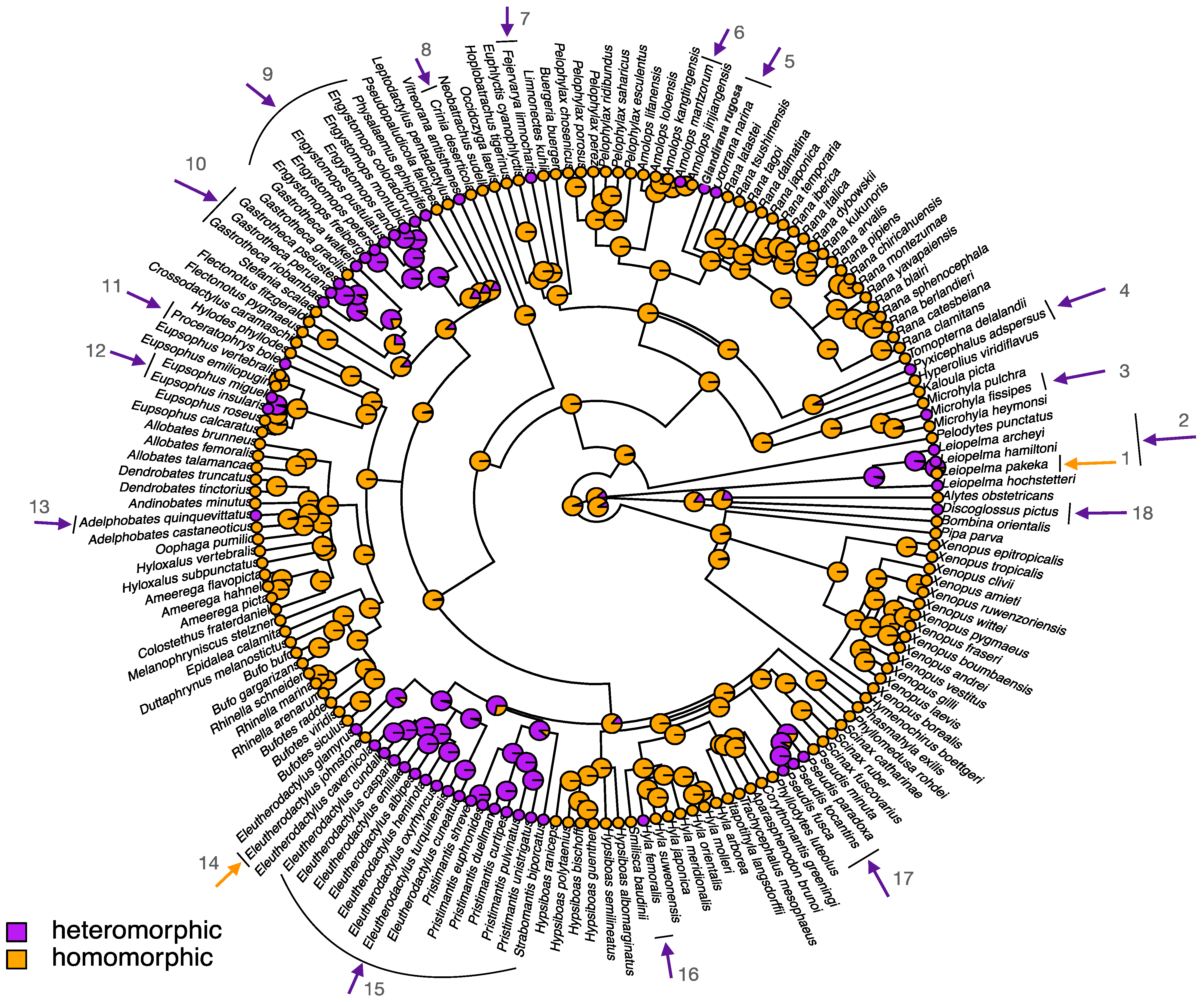 Genes 12 00483 g004