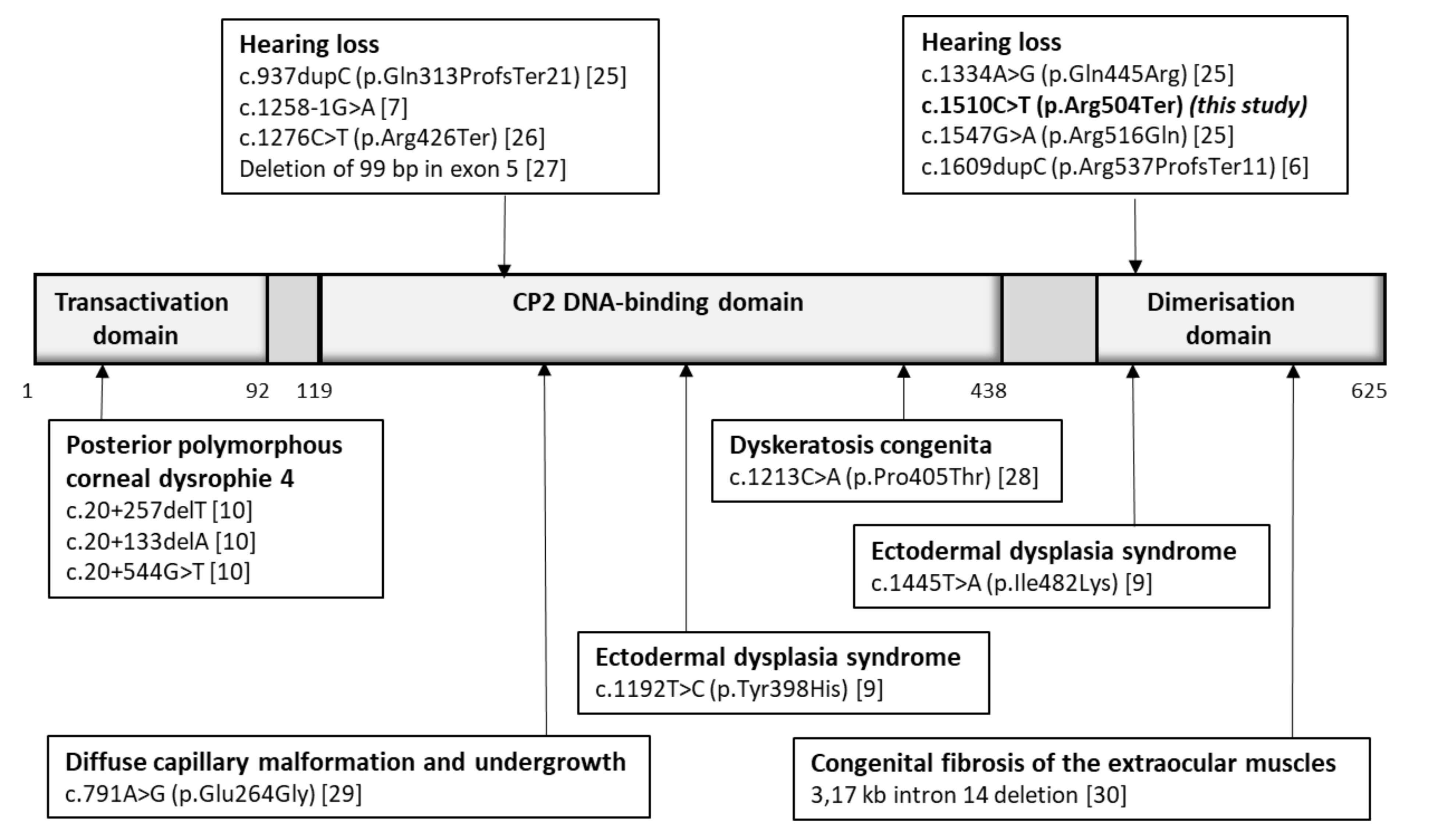 Genes 12 00484 g004