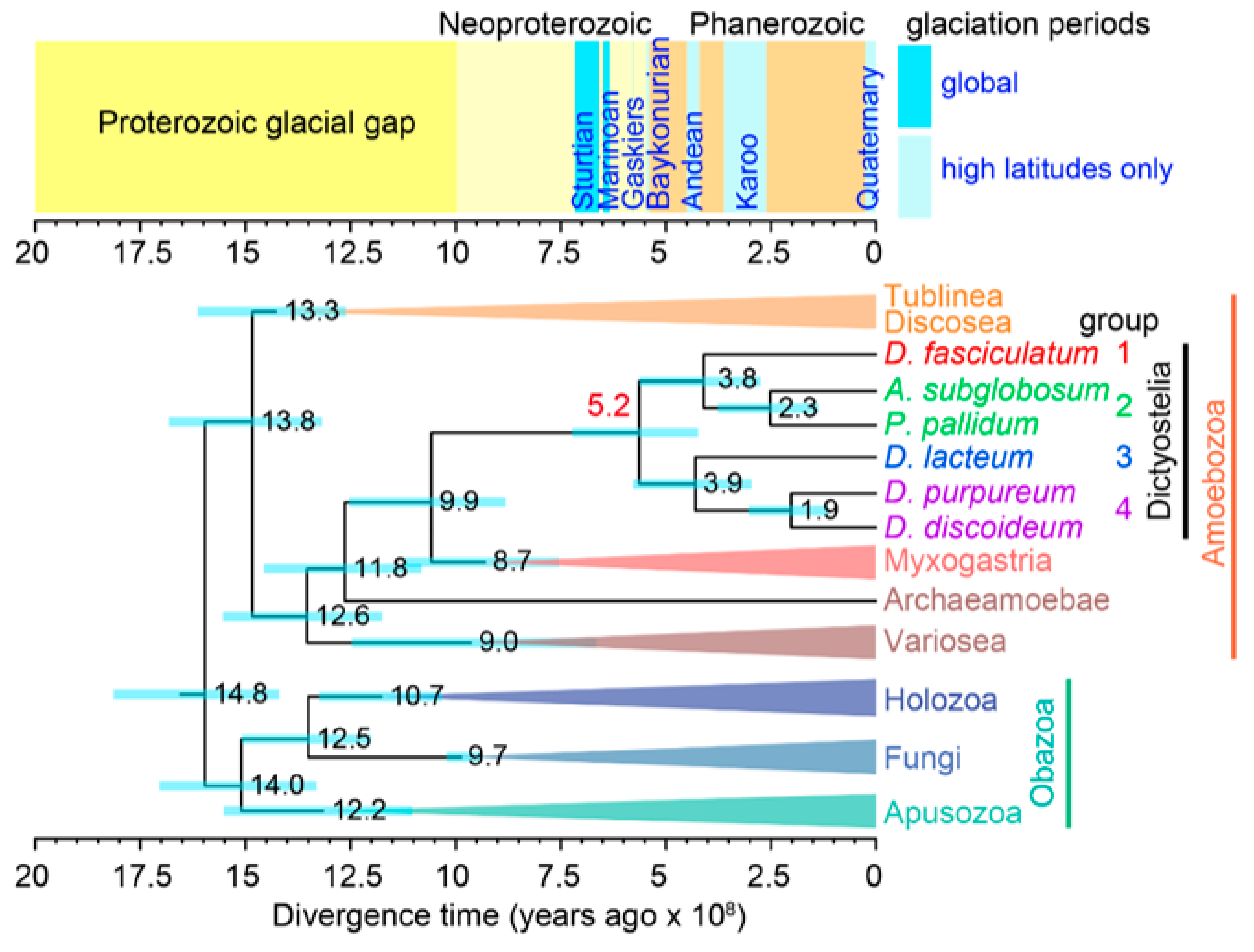 Genes 12 00487 g002