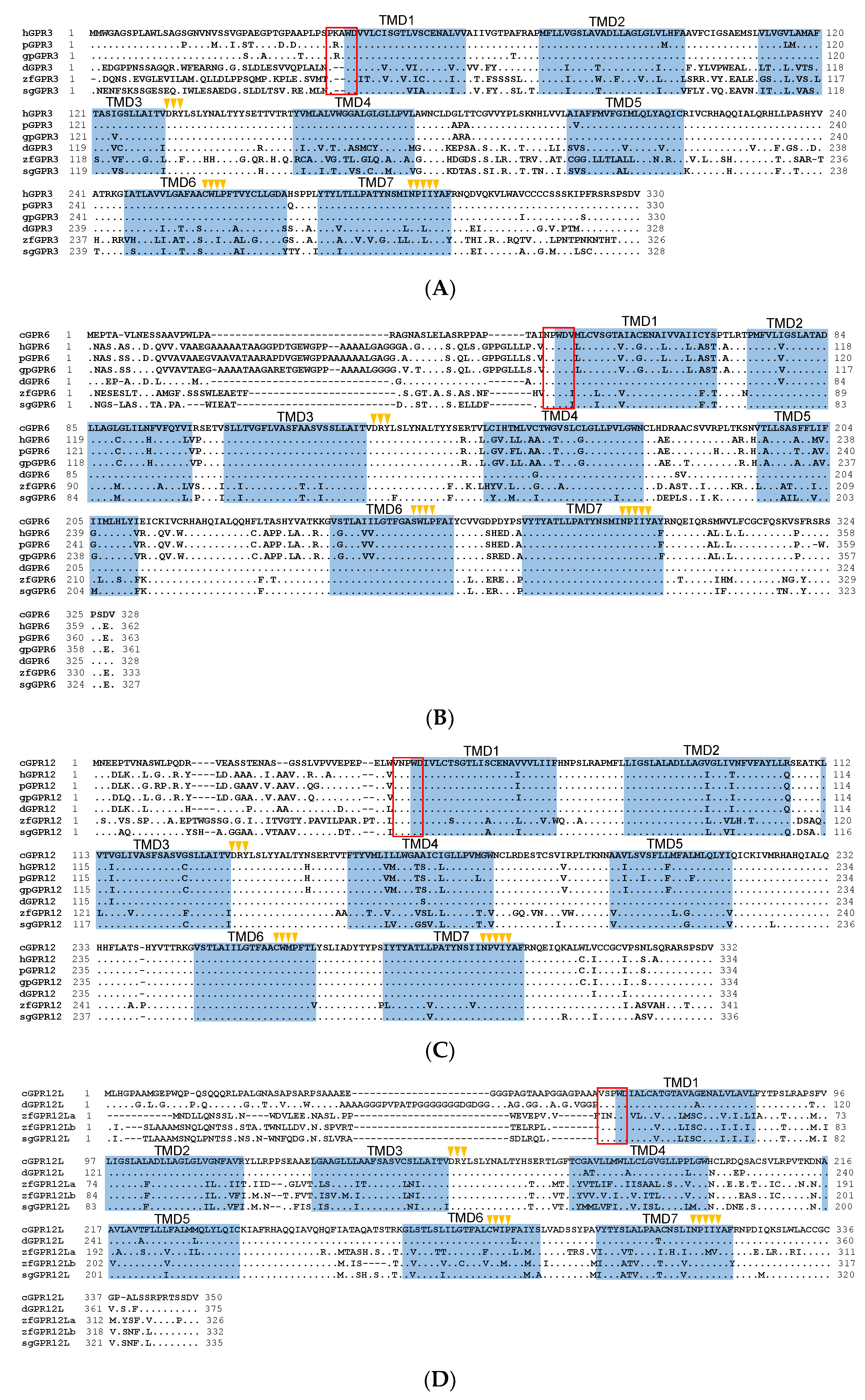 Genes 12 00489 g001a