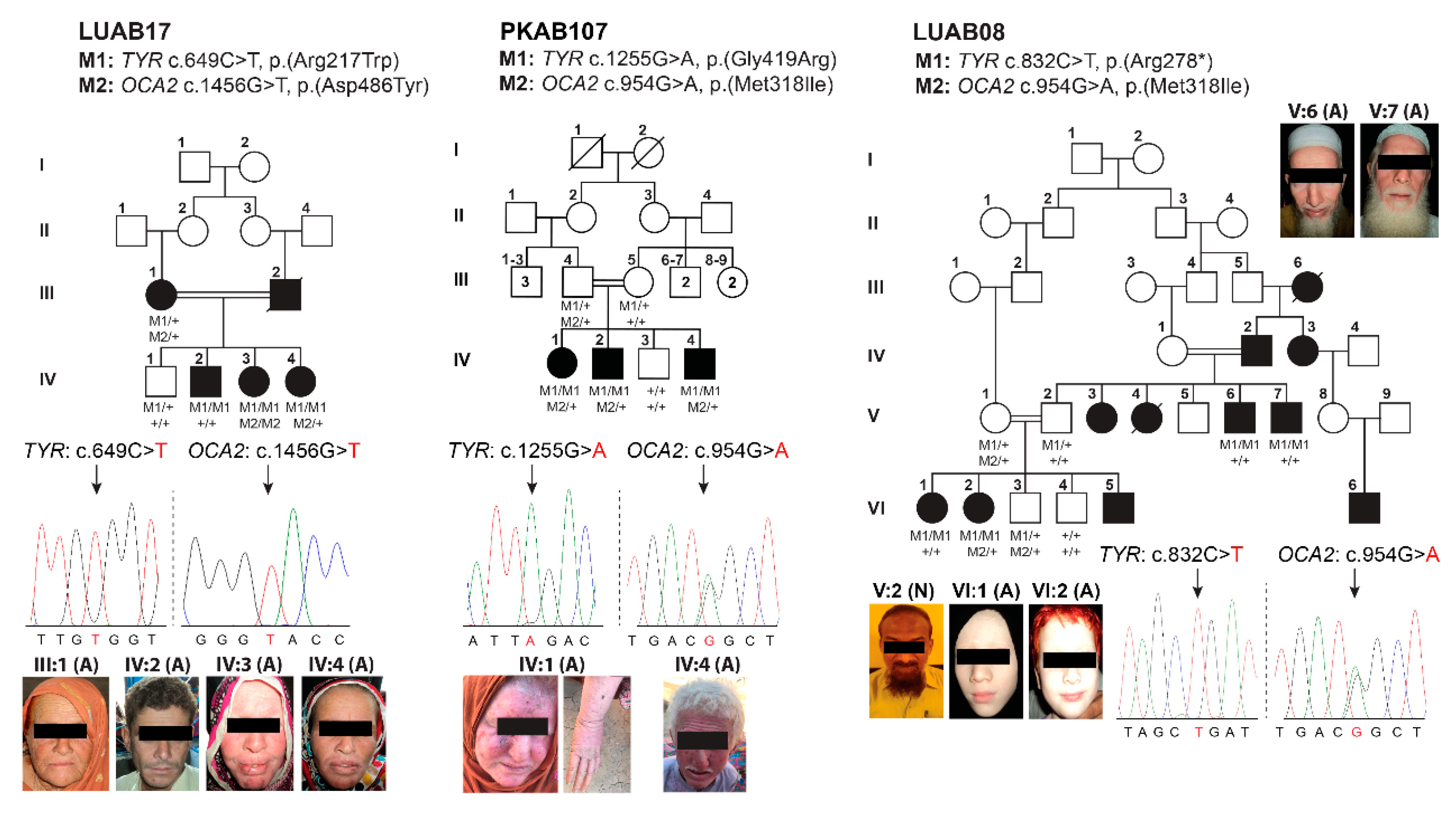 Genes 12 00492 g002 Genes 12 00492 g002