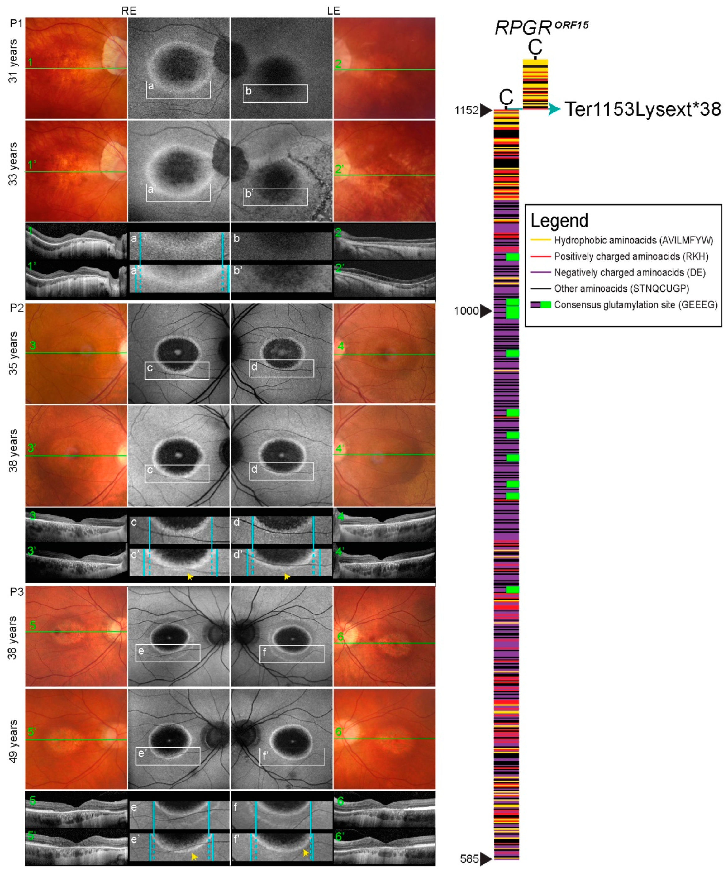 Genes 12 00499 g001 Genes 12 00499 g001