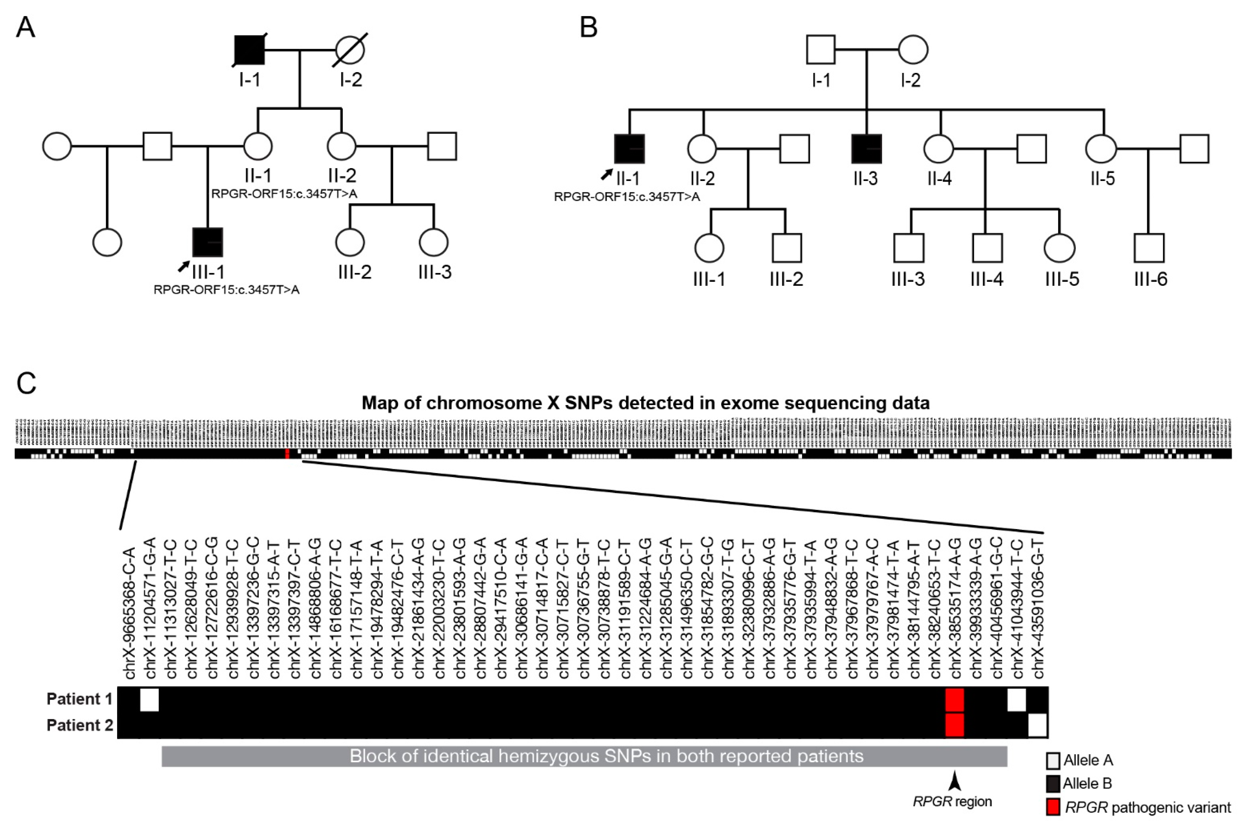 Genes 12 00499 g002 Genes 12 00499 g002