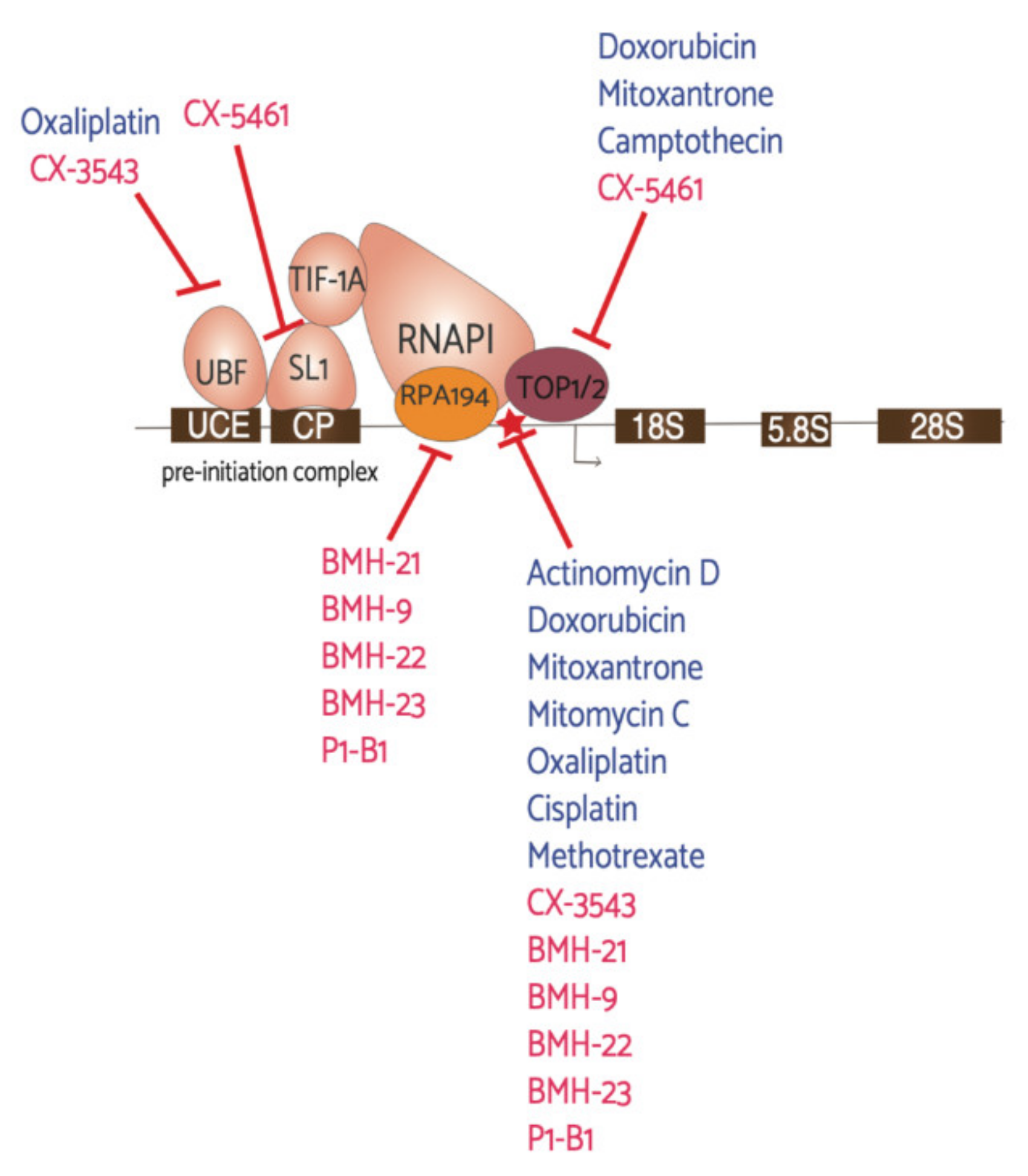 Genes 12 00502 g003 Genes 12 00502 g003