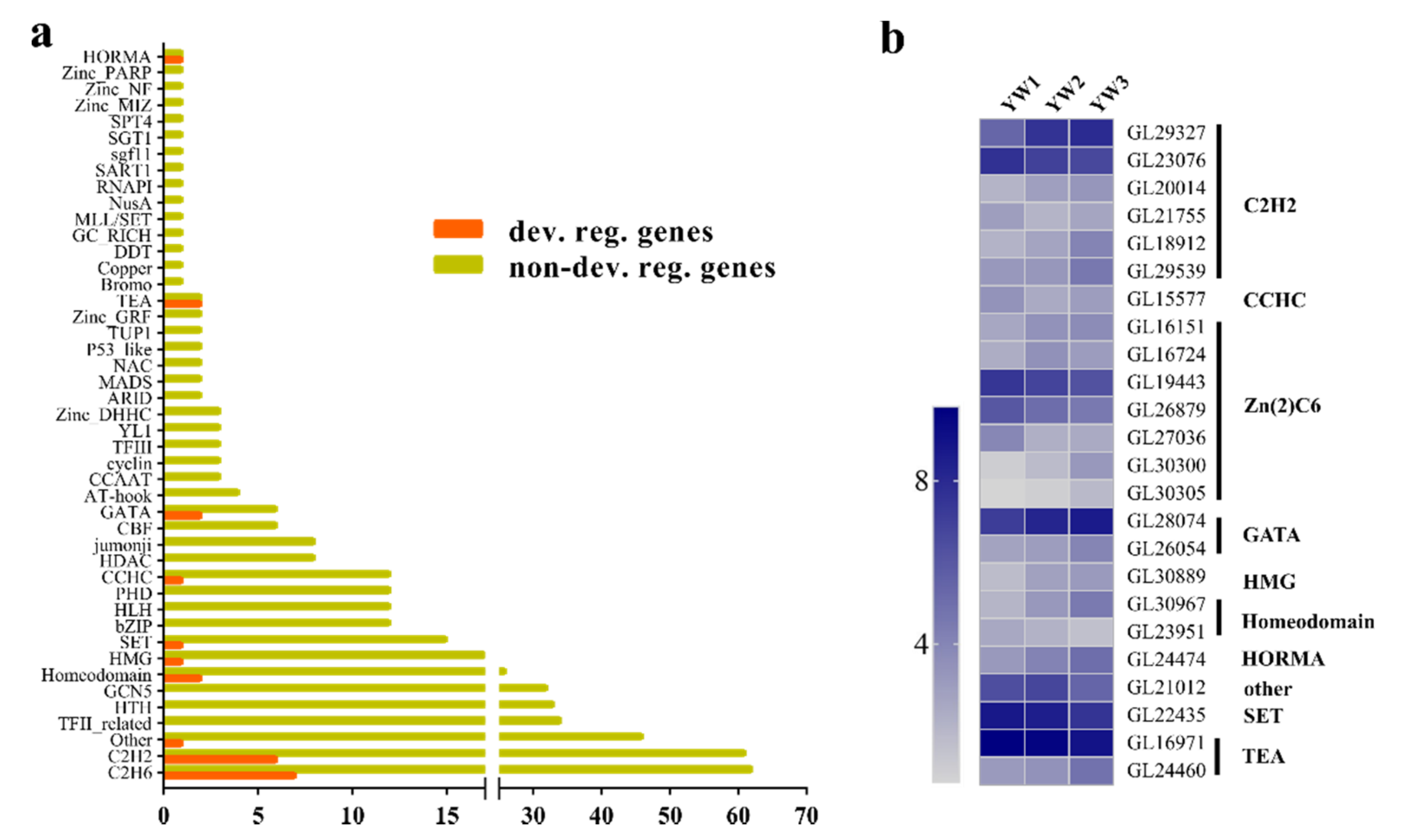 Genes 12 00504 g005 Genes 12 00504 g005