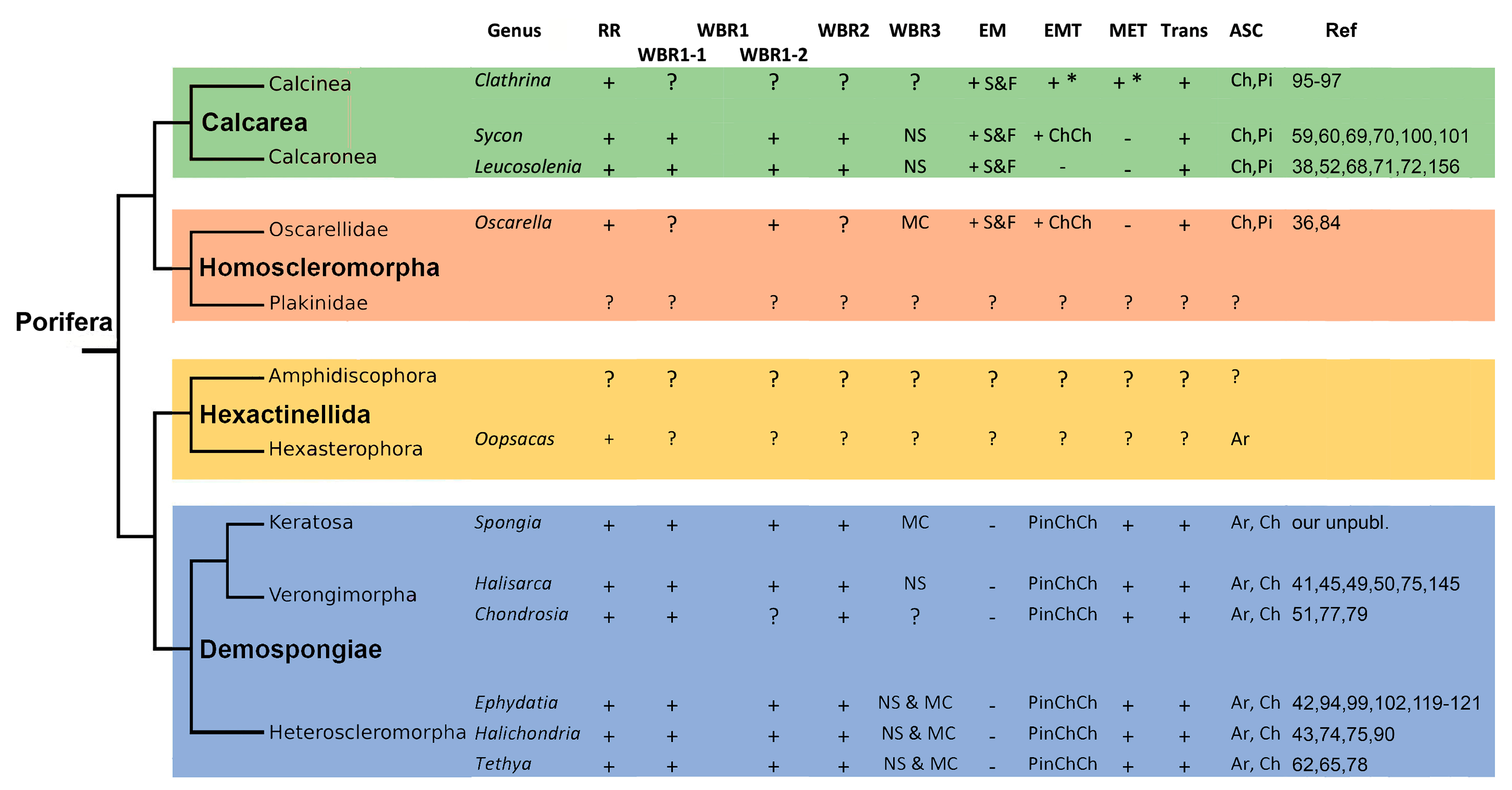 Genes 12 00506 g007 Genes 12 00506 g007