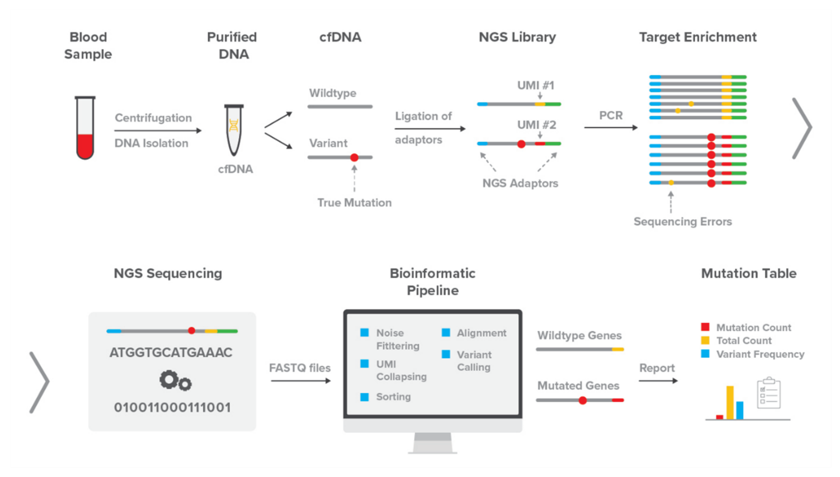 Genes 12 00507 g001