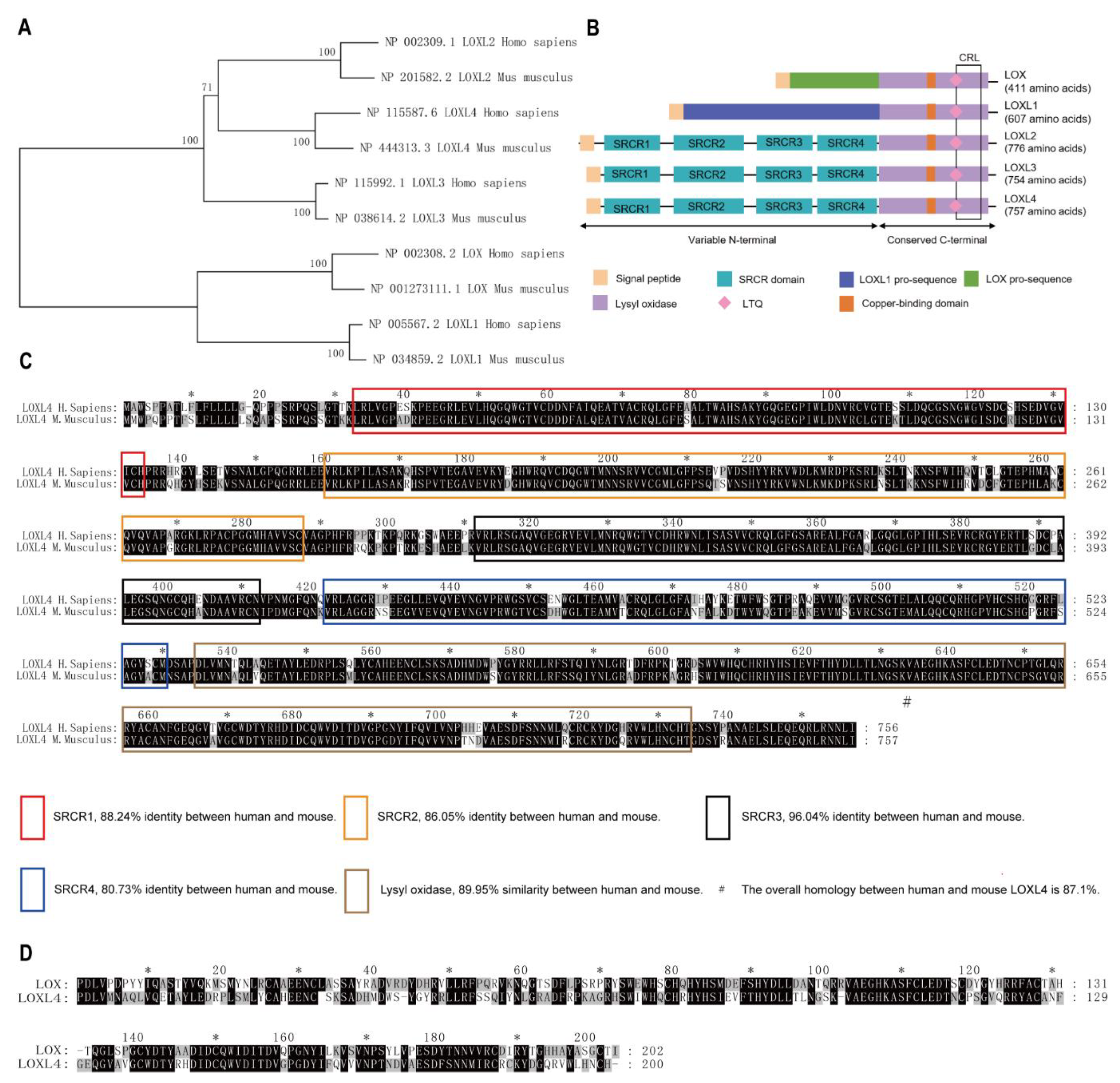 Genes 12 00513 g001 Genes 12 00513 g001