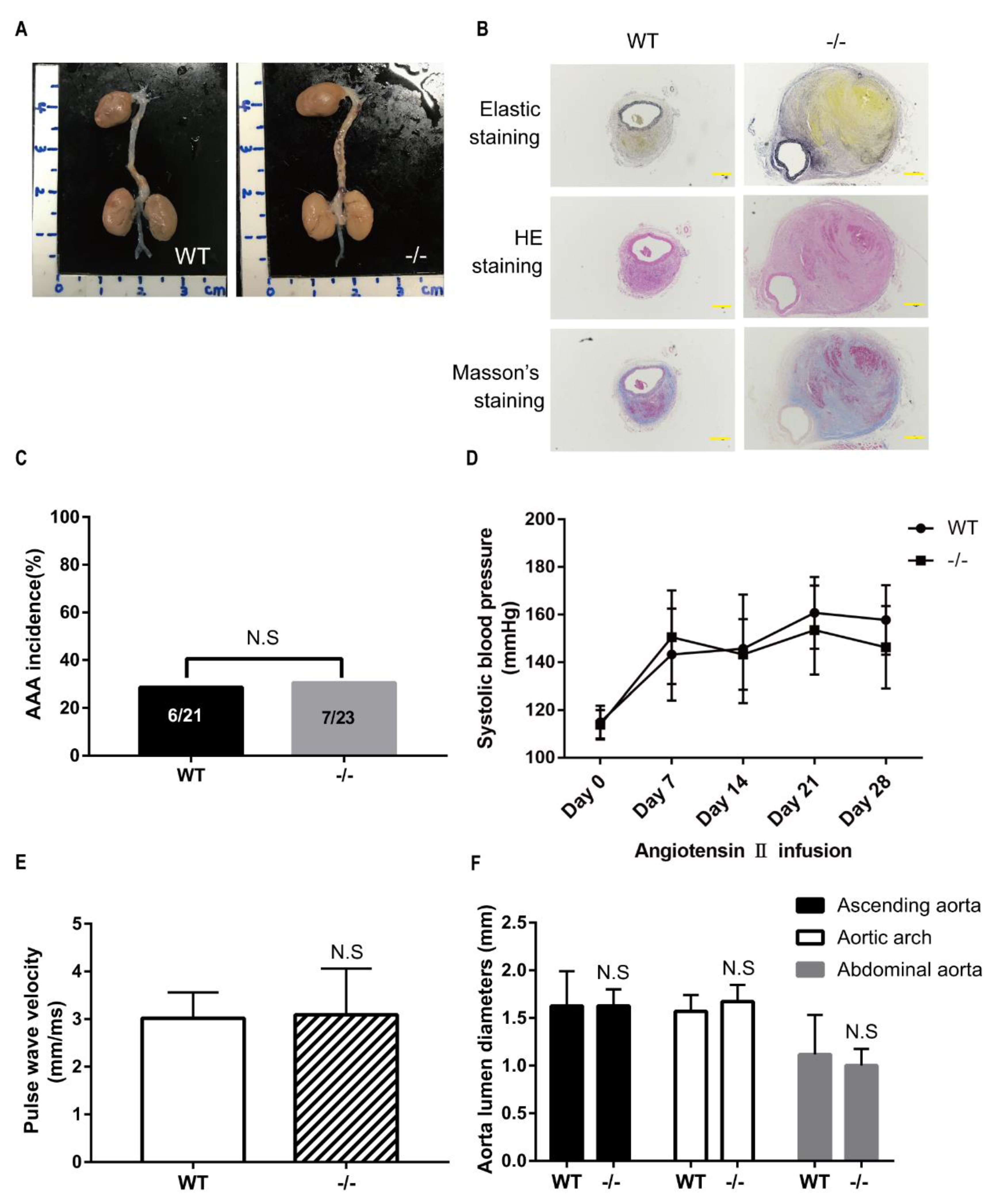 Genes 12 00513 g005 Genes 12 00513 g005
