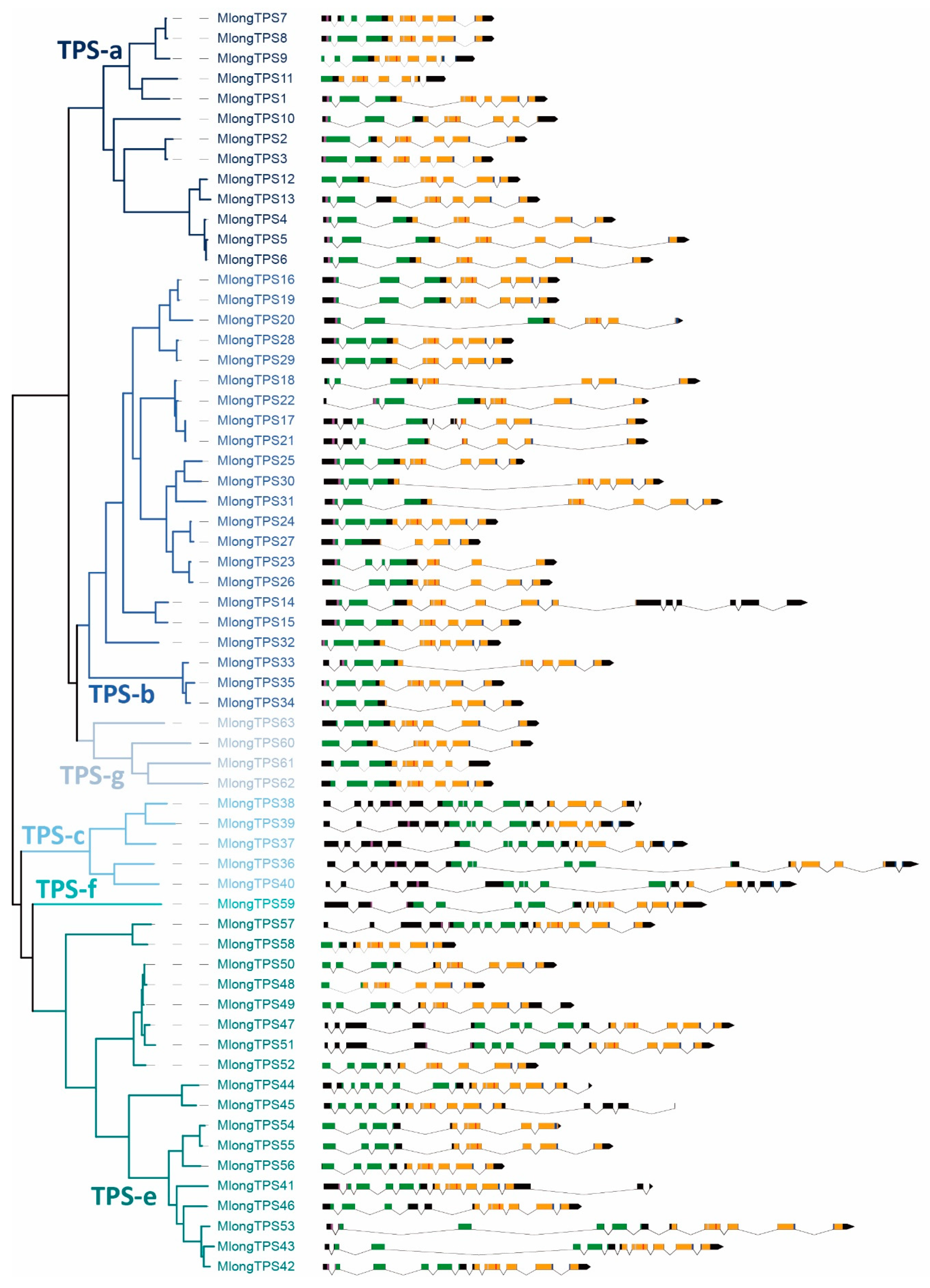 Genes 12 00518 g002 Genes 12 00518 g002