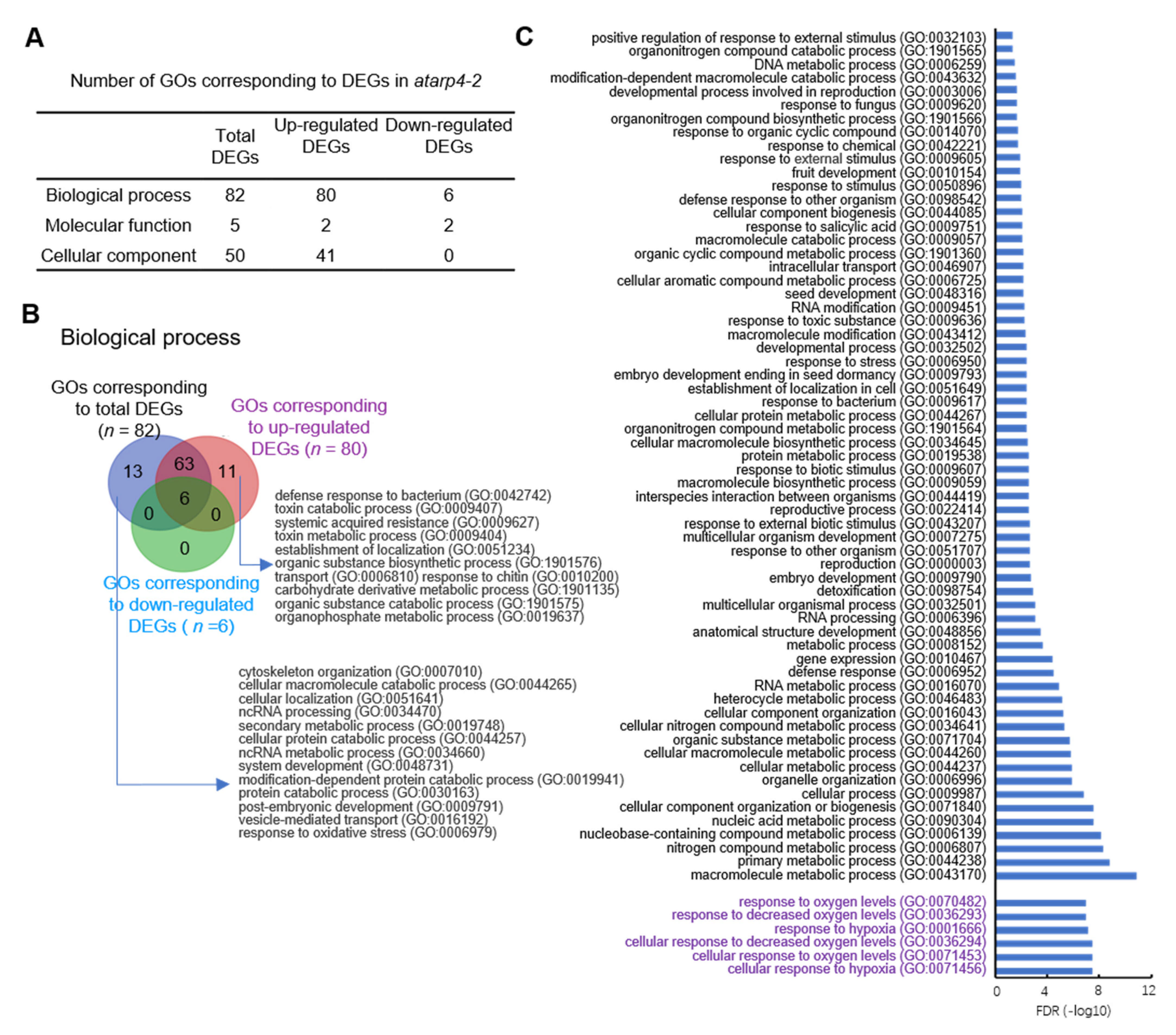 Genes 12 00520 g004