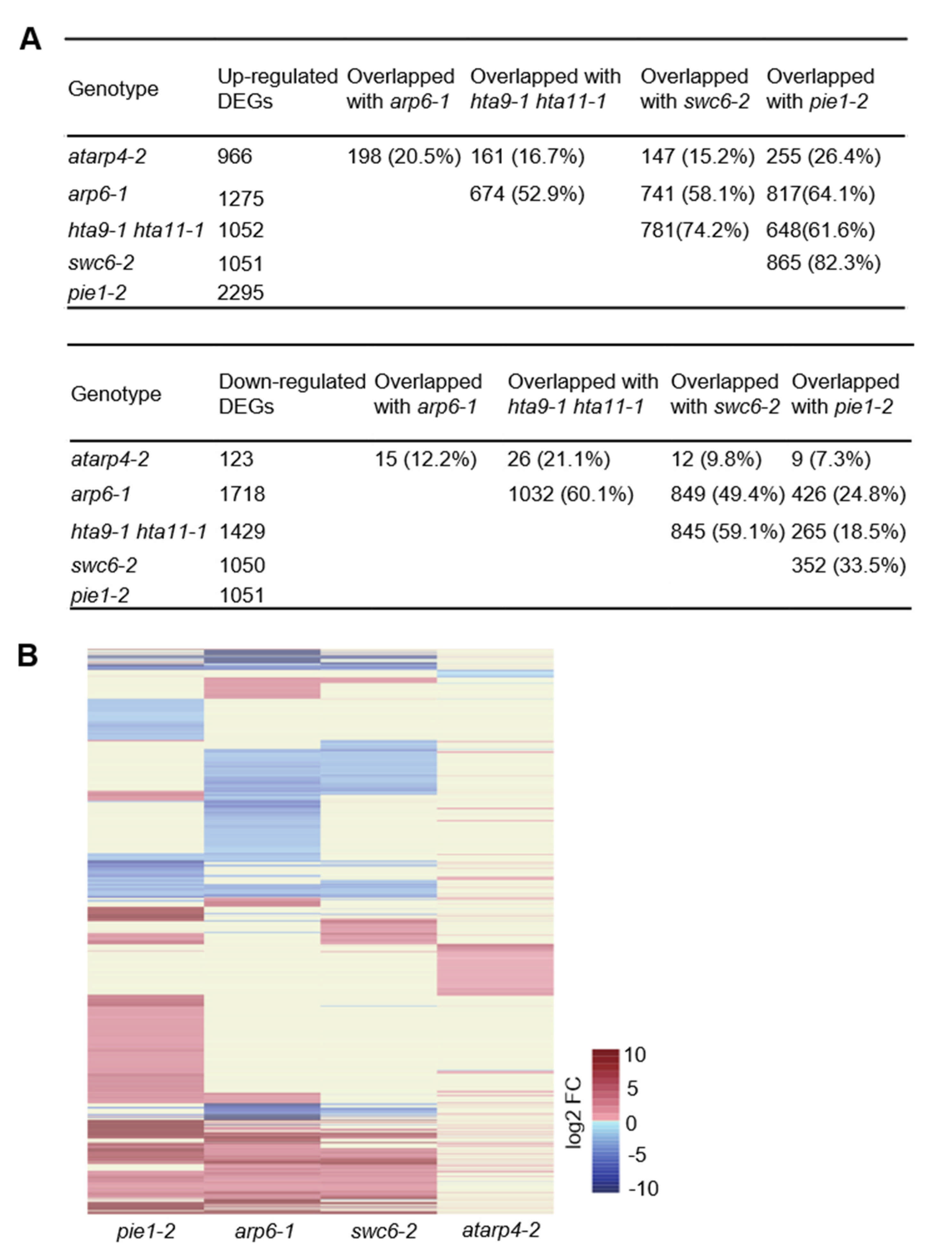 Genes 12 00520 g005