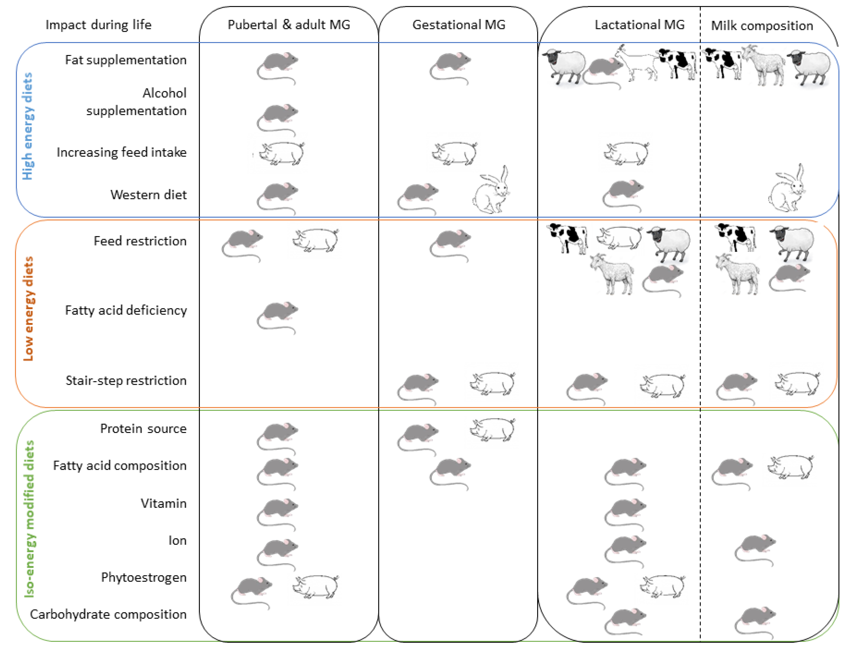 Genes 12 00523 g001 Genes 12 00523 g001