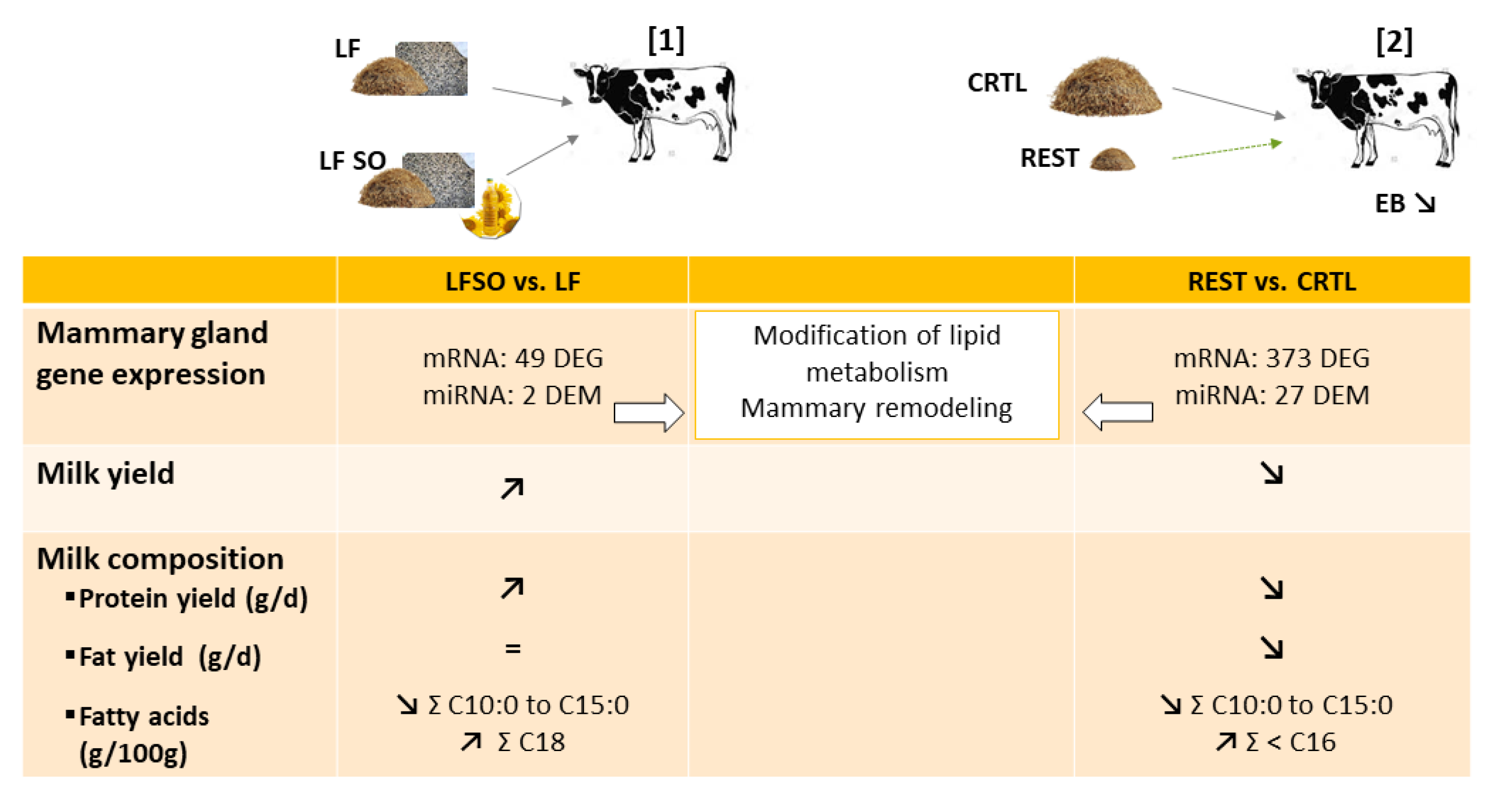 Genes 12 00523 g003 Genes 12 00523 g003