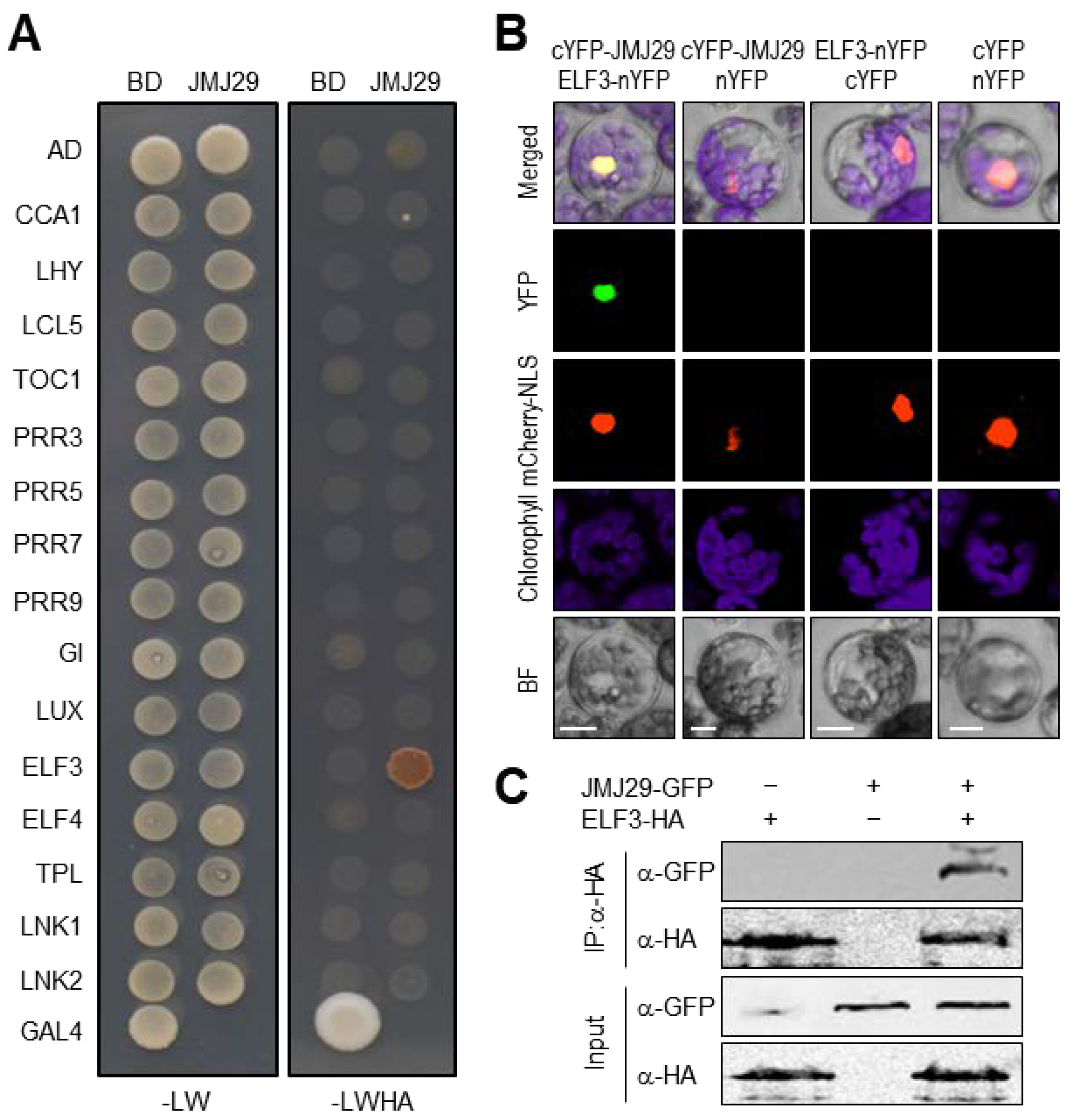 Genes 12 00529 g003 Genes 12 00529 g003