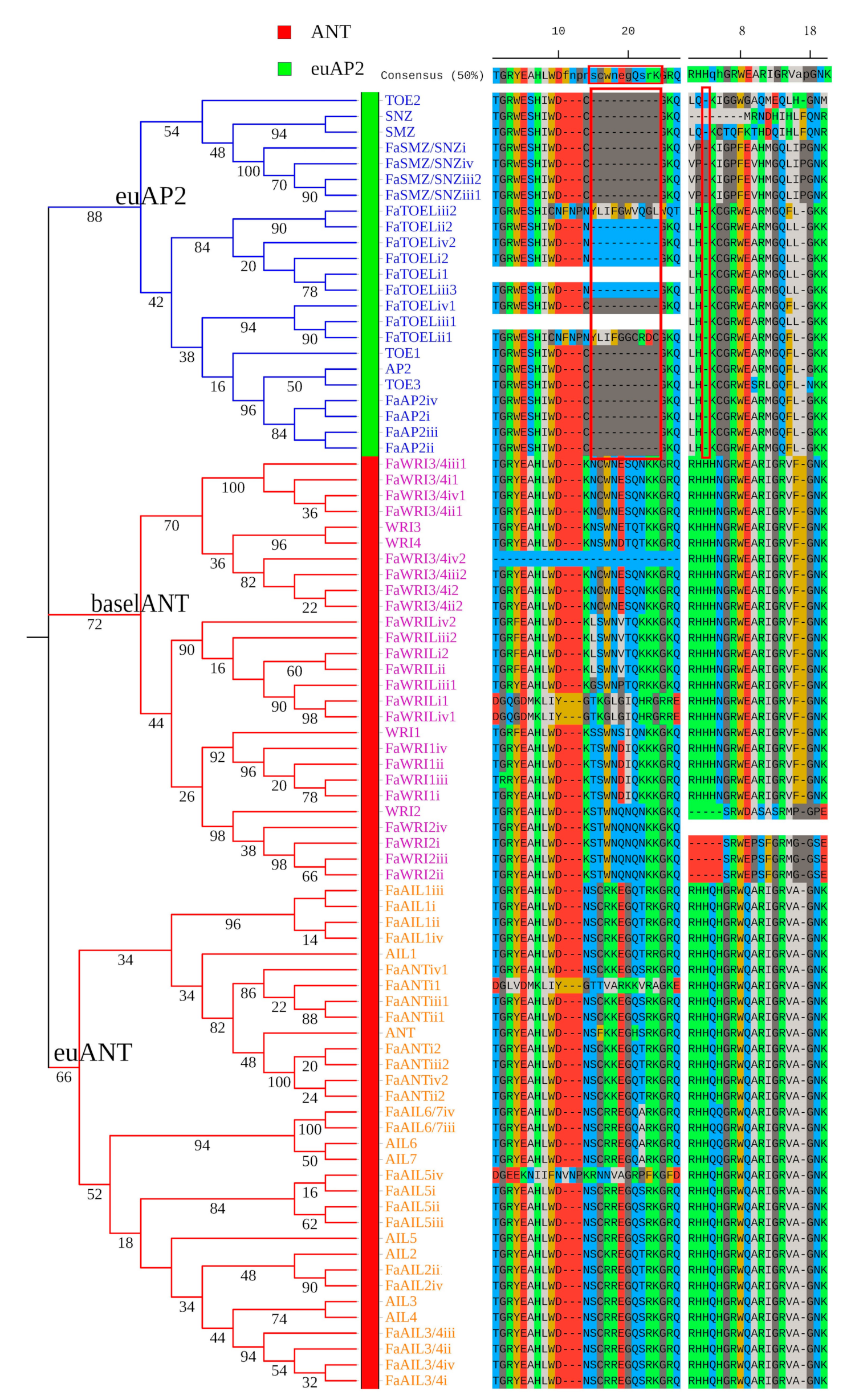 Genes 12 00530 g001 Genes 12 00530 g001