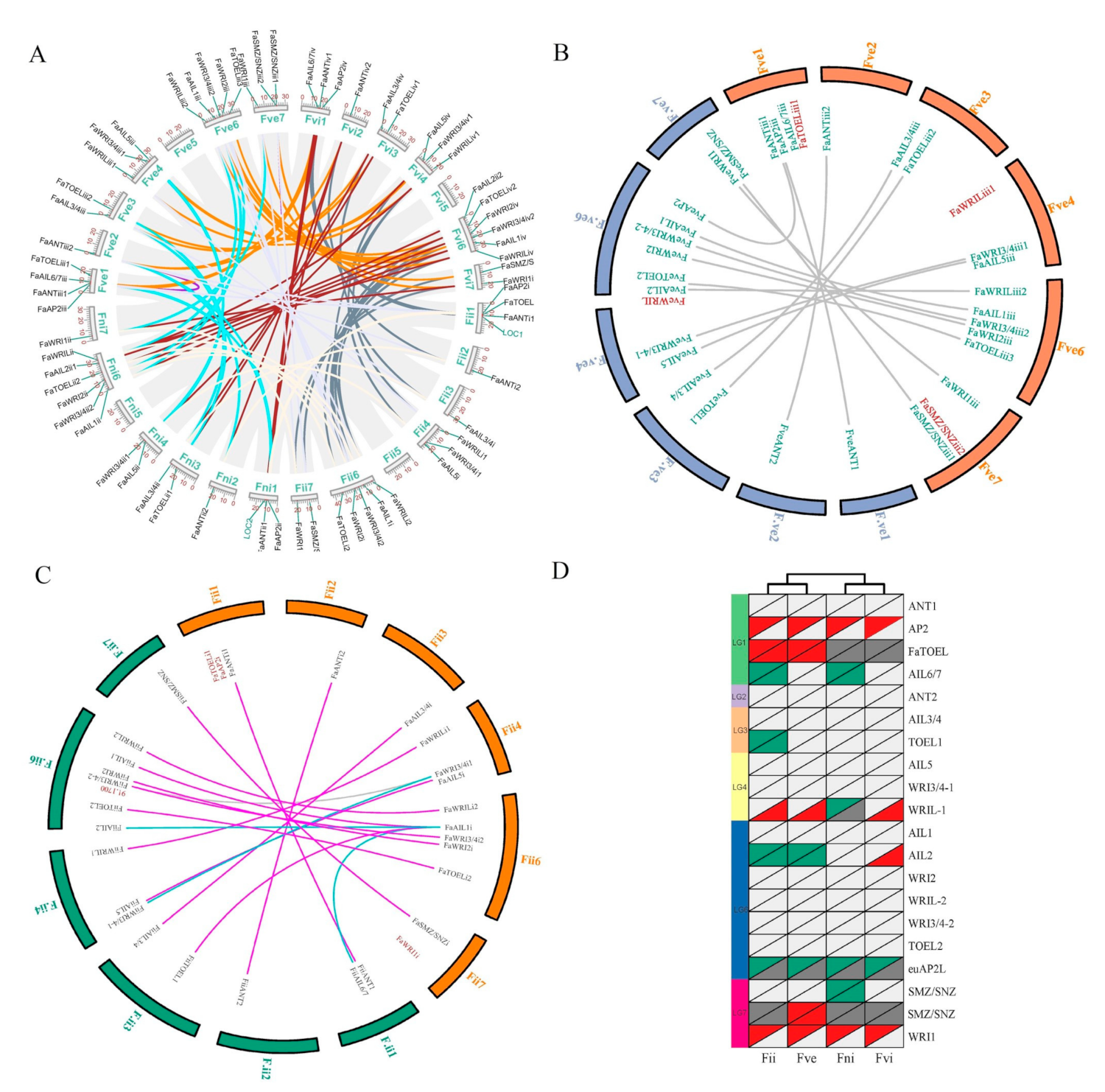 Genes 12 00530 g003 Genes 12 00530 g003