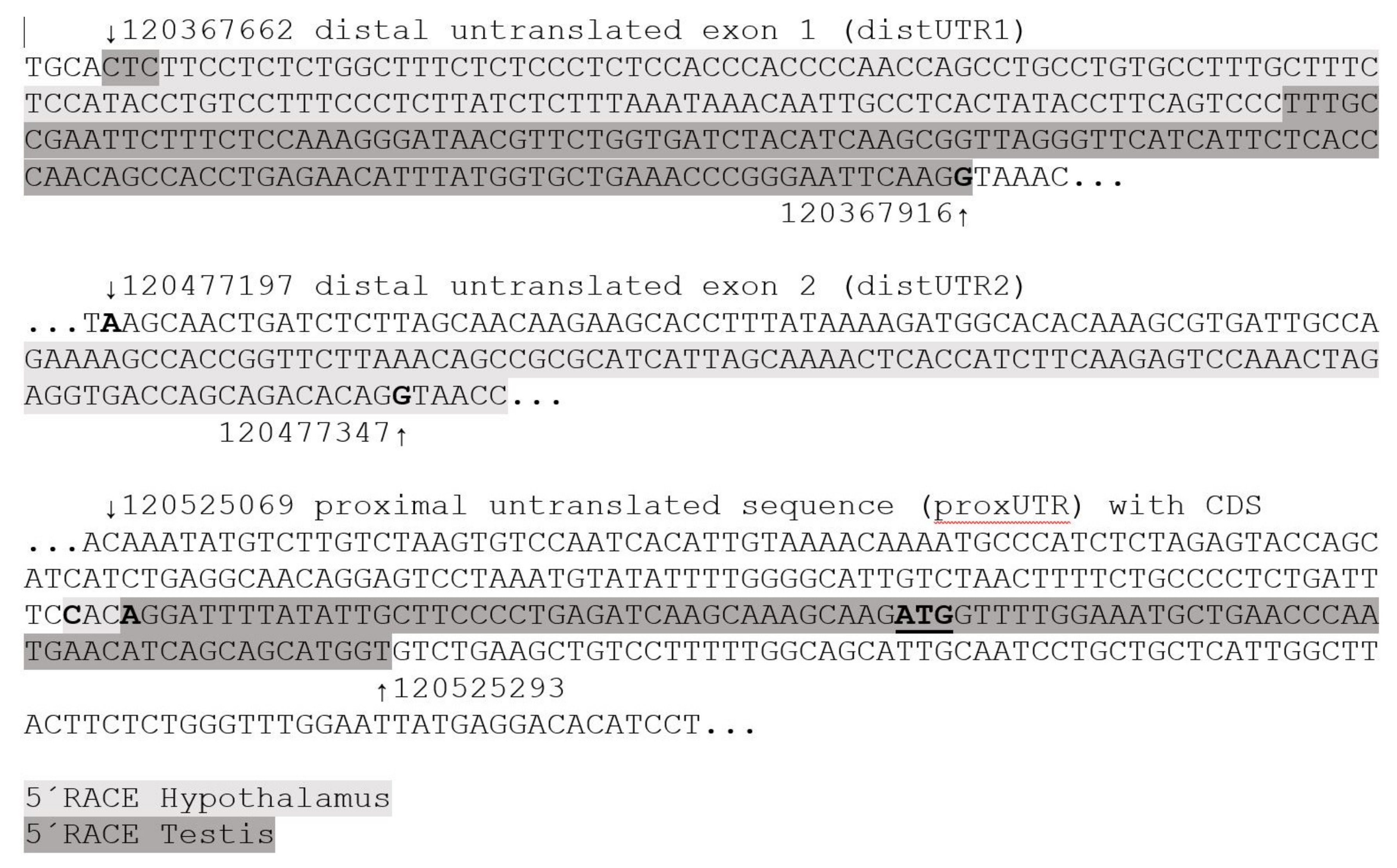 Genes 12 00533 g001 Genes 12 00533 g001