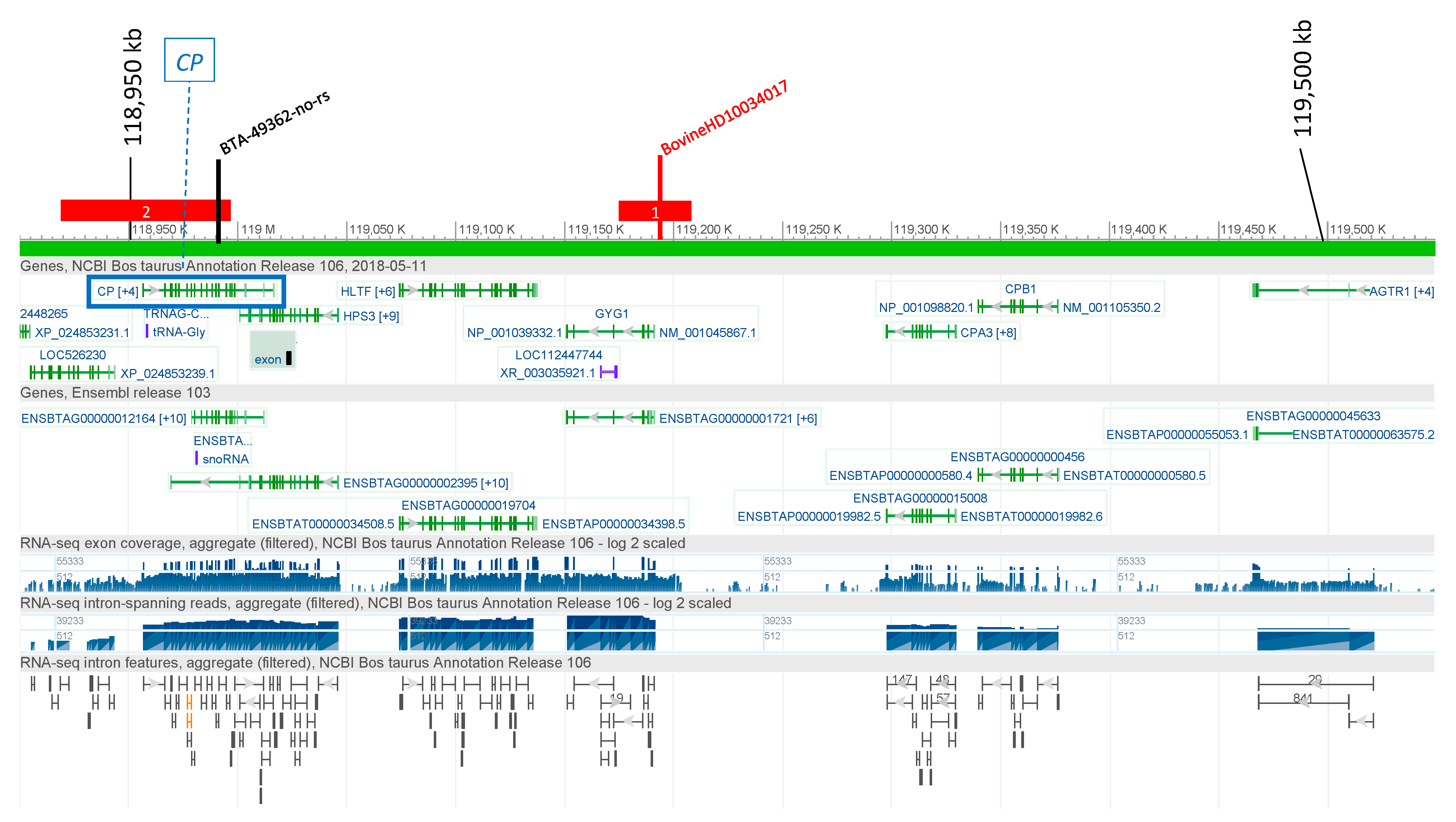 Genes 12 00534 g001 Genes 12 00534 g001