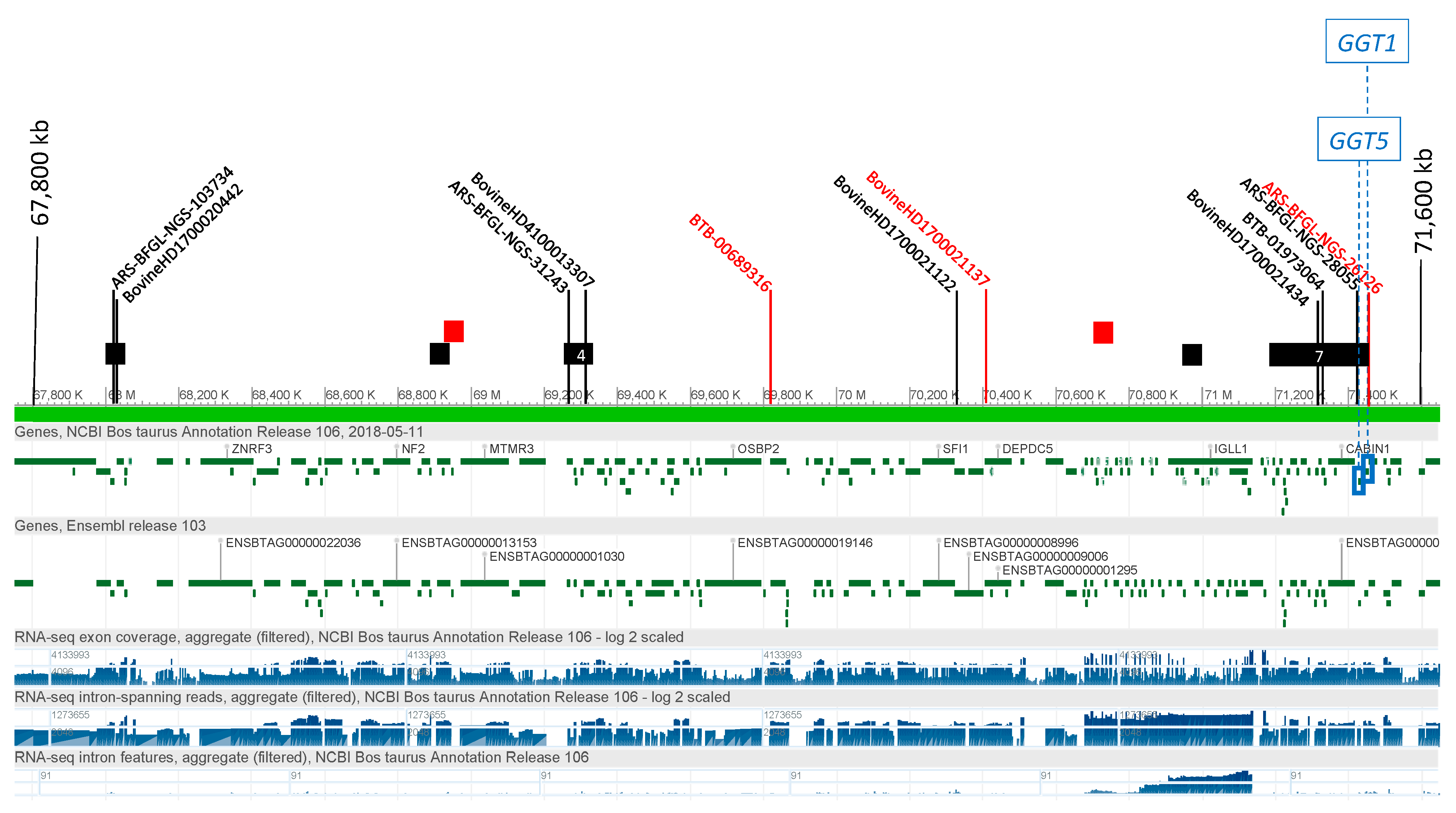 Genes 12 00534 g003 Genes 12 00534 g003