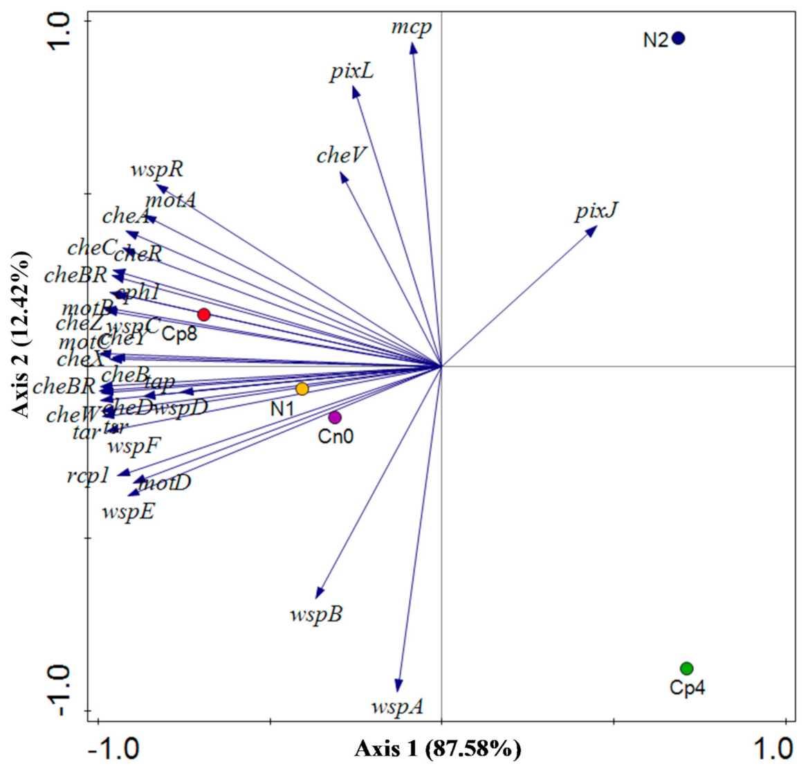 Genes 12 00535 g005 Genes 12 00535 g005