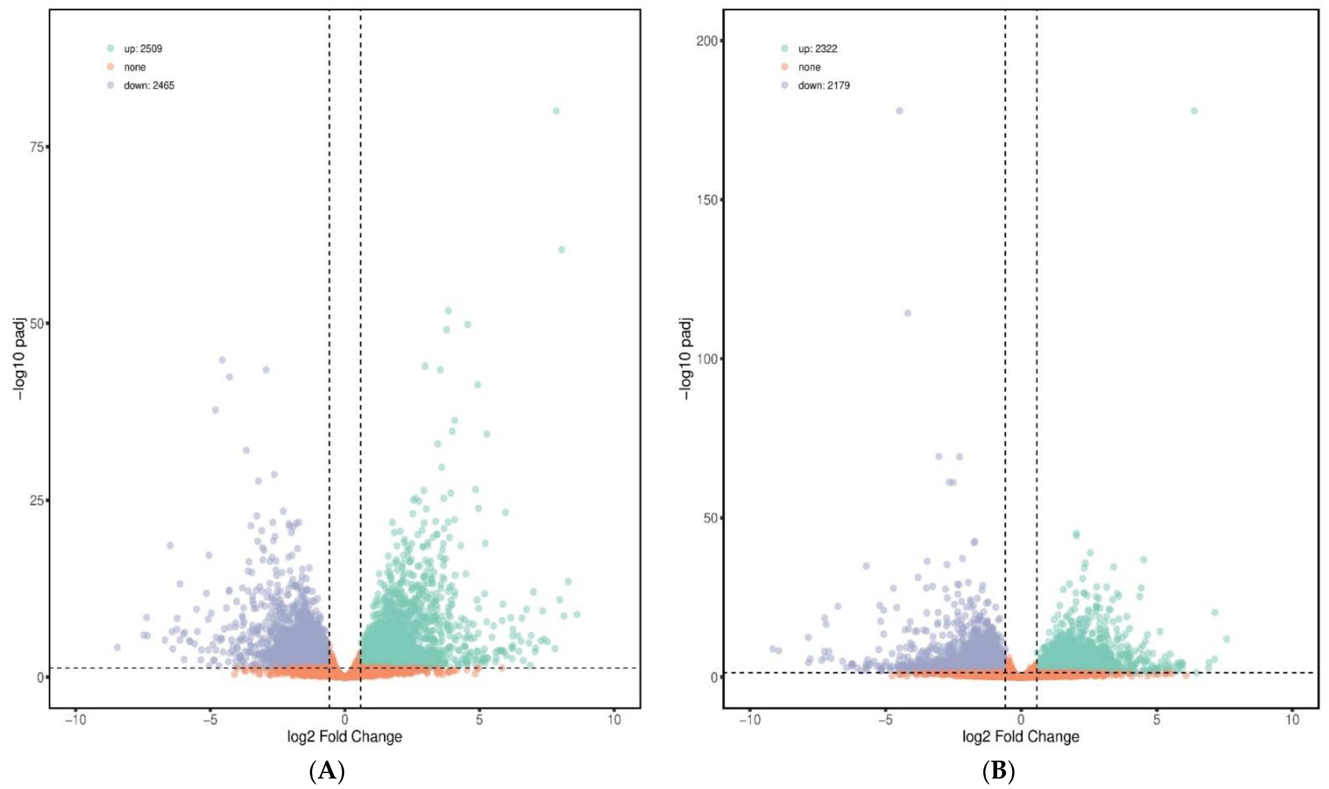 Genes 12 00536 g001a