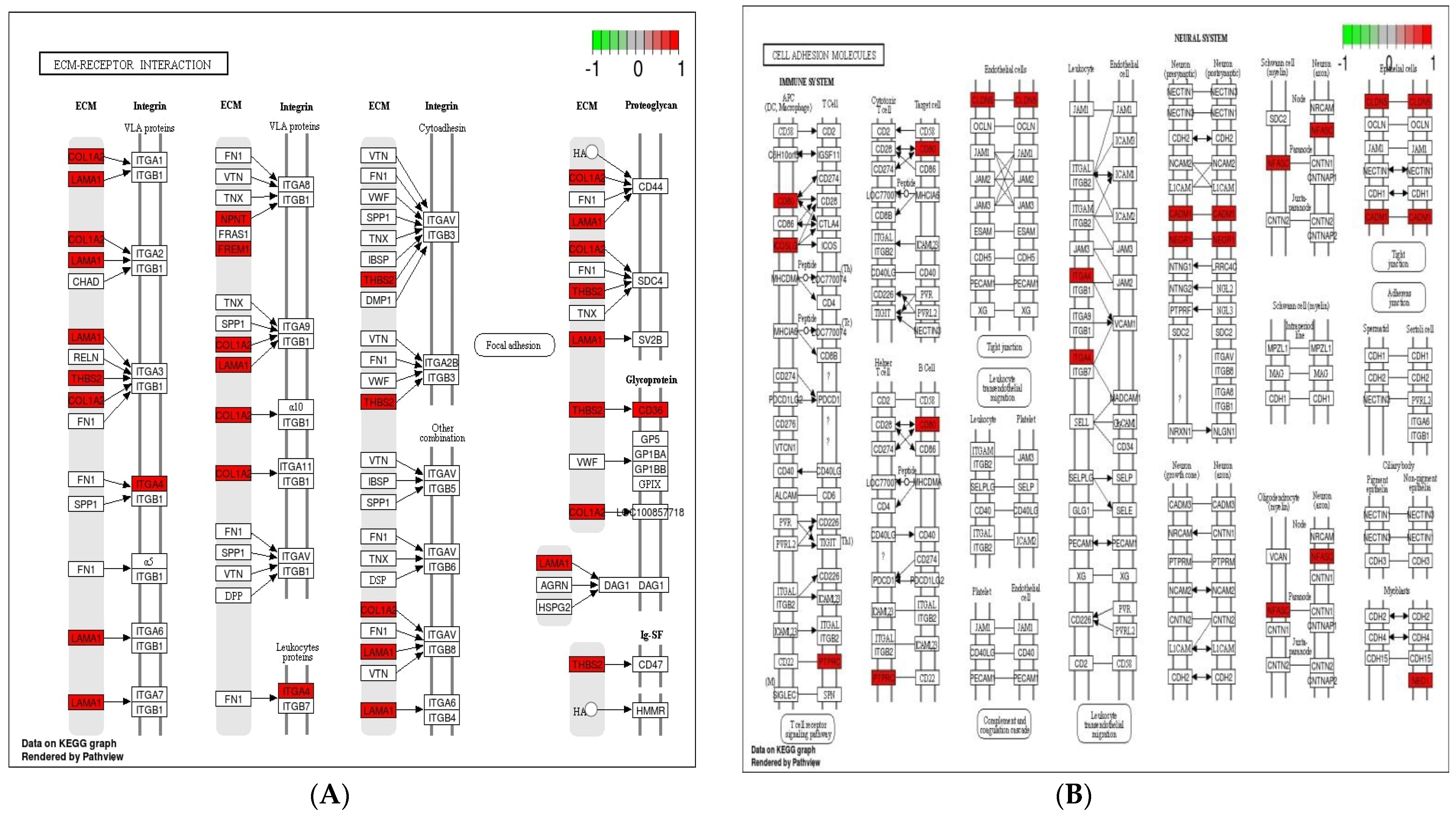 Genes 12 00536 g006a