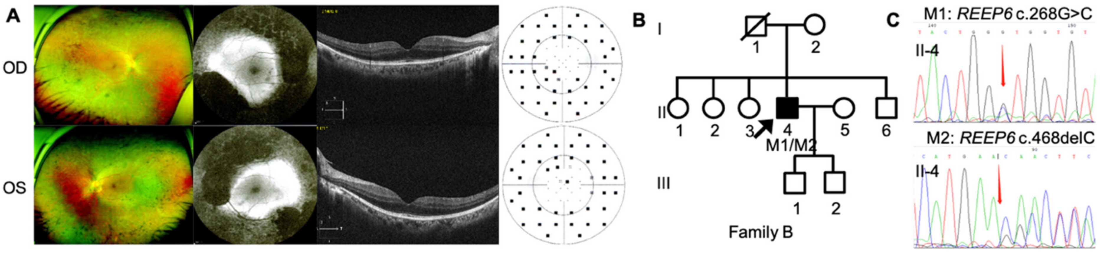 Genes 12 00537 g002 Genes 12 00537 g002