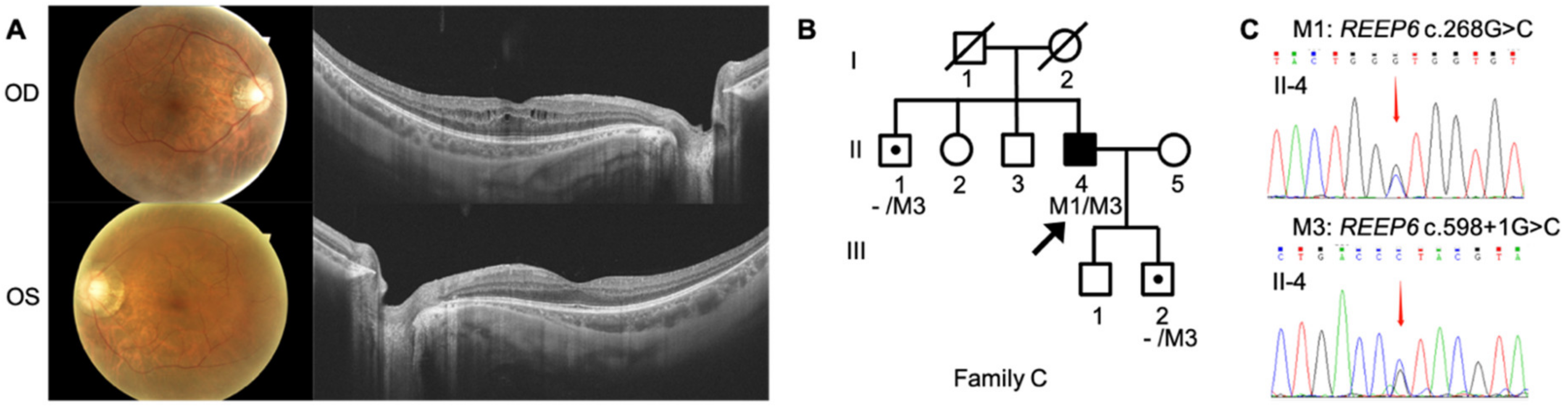Genes 12 00537 g003 Genes 12 00537 g003