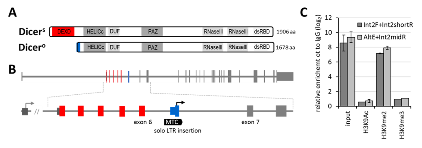 Genes 12 00540 g001