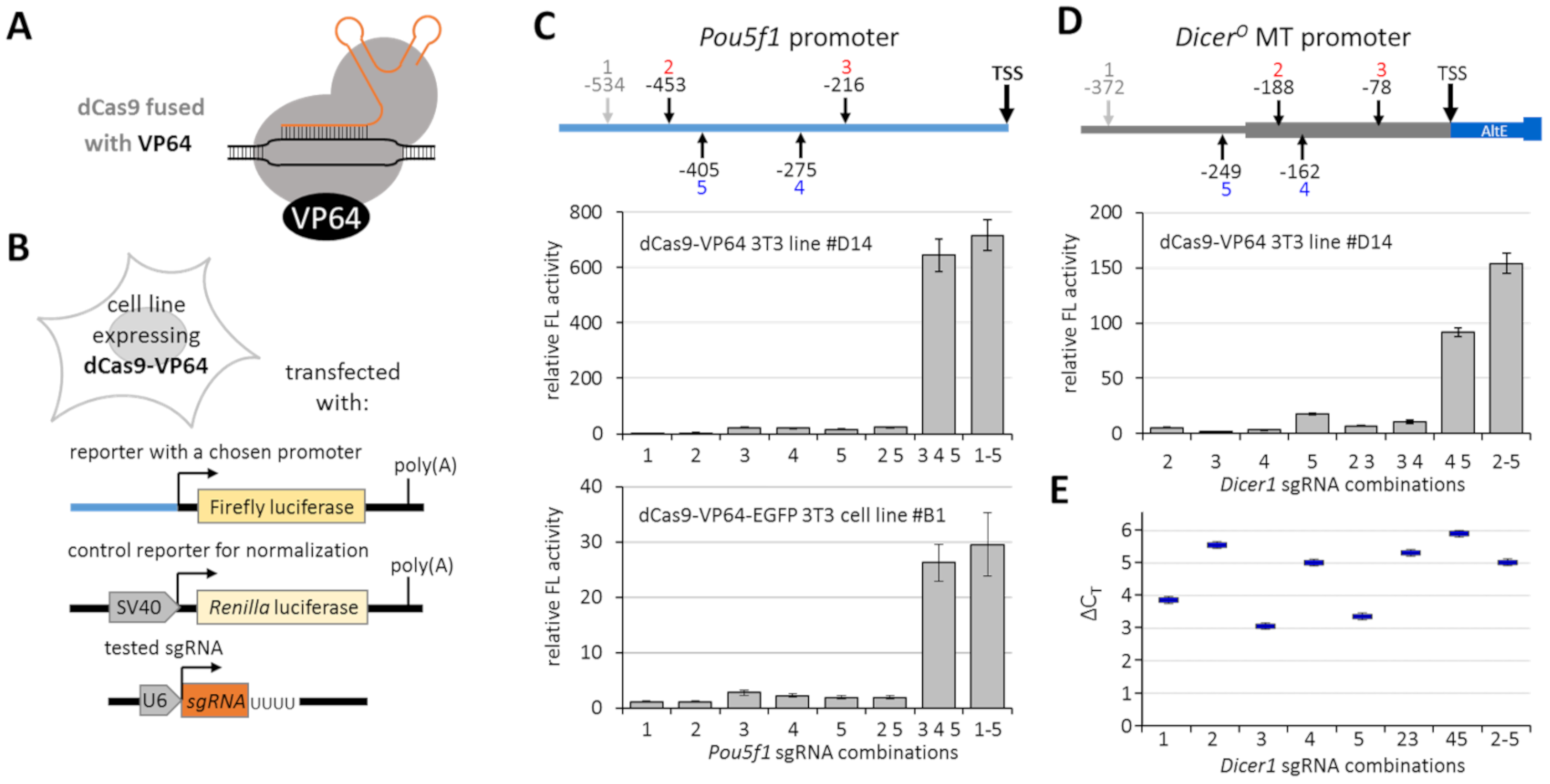 Genes 12 00540 g002