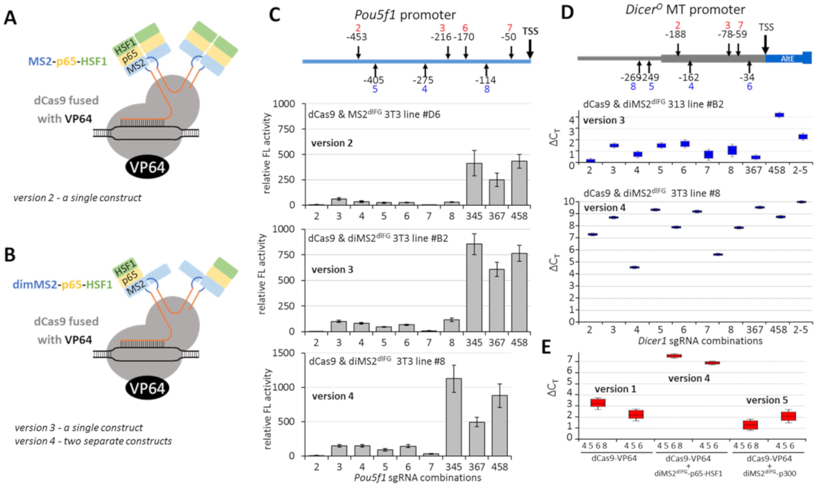 Genes 12 00540 g003