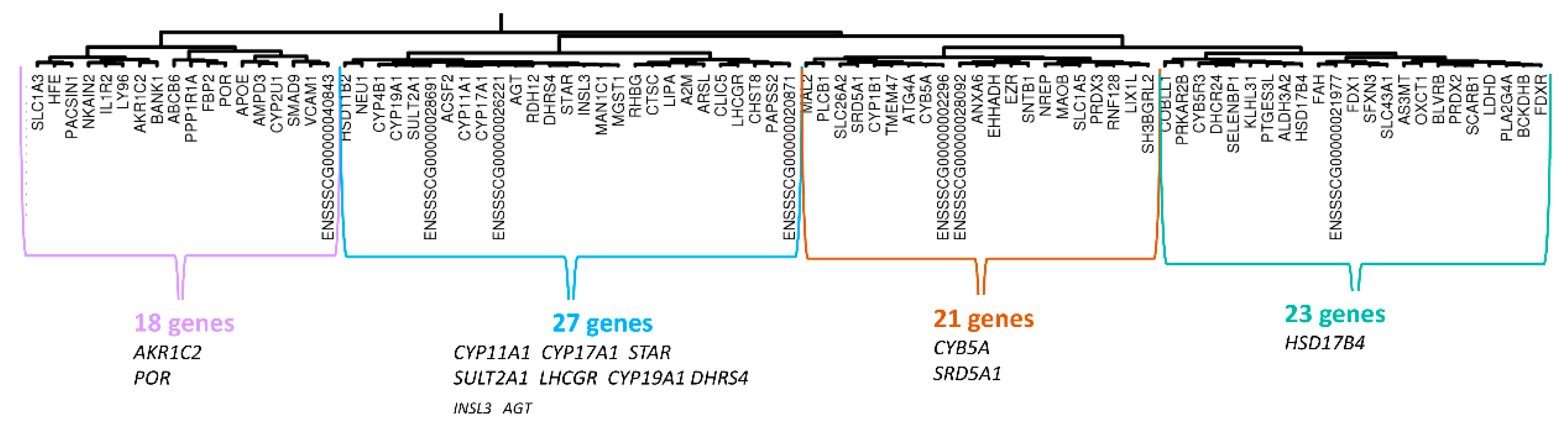 Genes 12 00551 g004