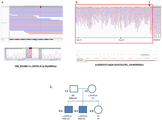 dna sequencing sequencher heterozygous mutations dna sequencing sequencher heterozygous mutations