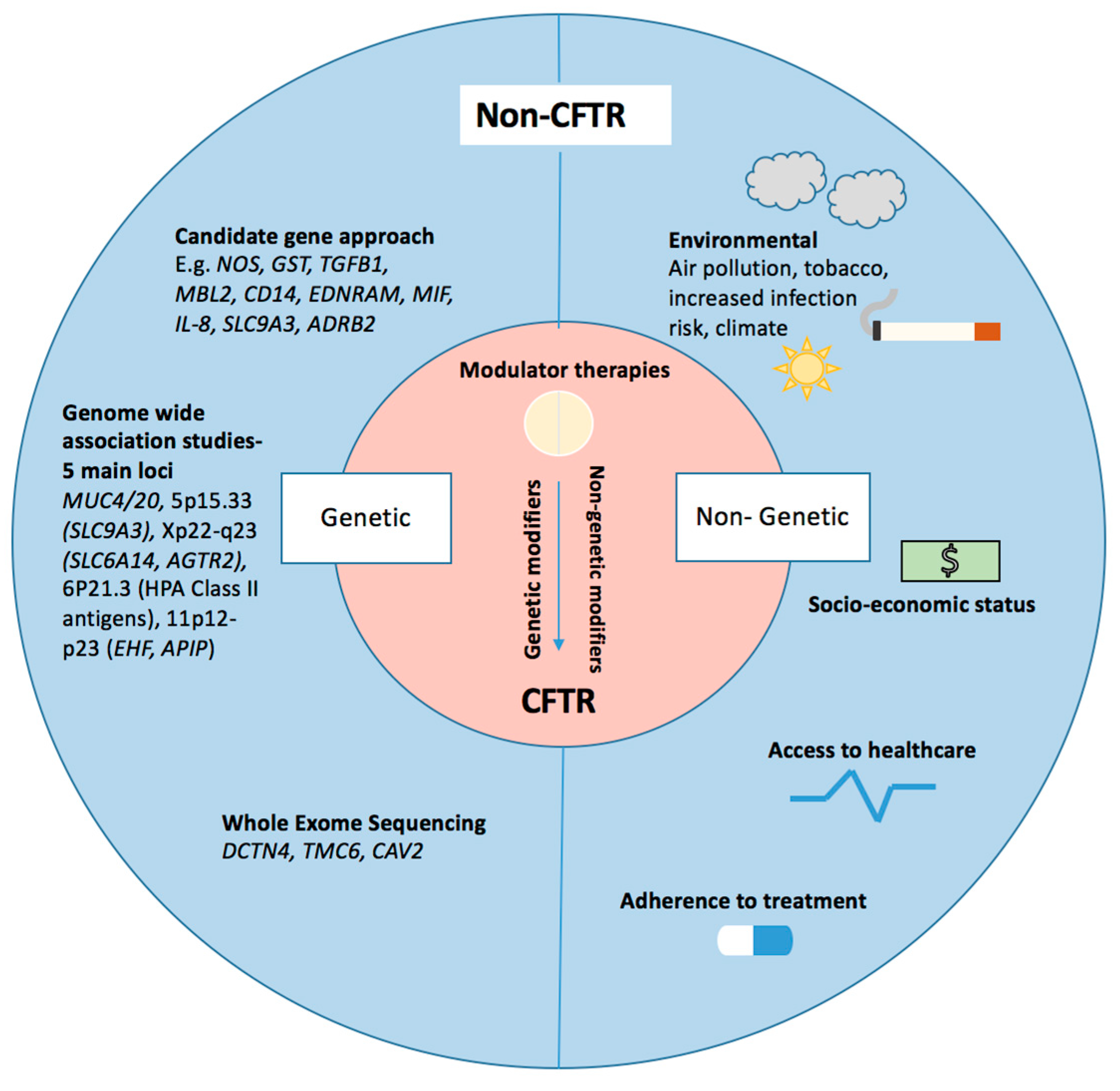 Genes Free Full Text Cystic Fibrosis Lung Disease Modifiers And Their Relevance In The New Era Of Precision Medicine Html