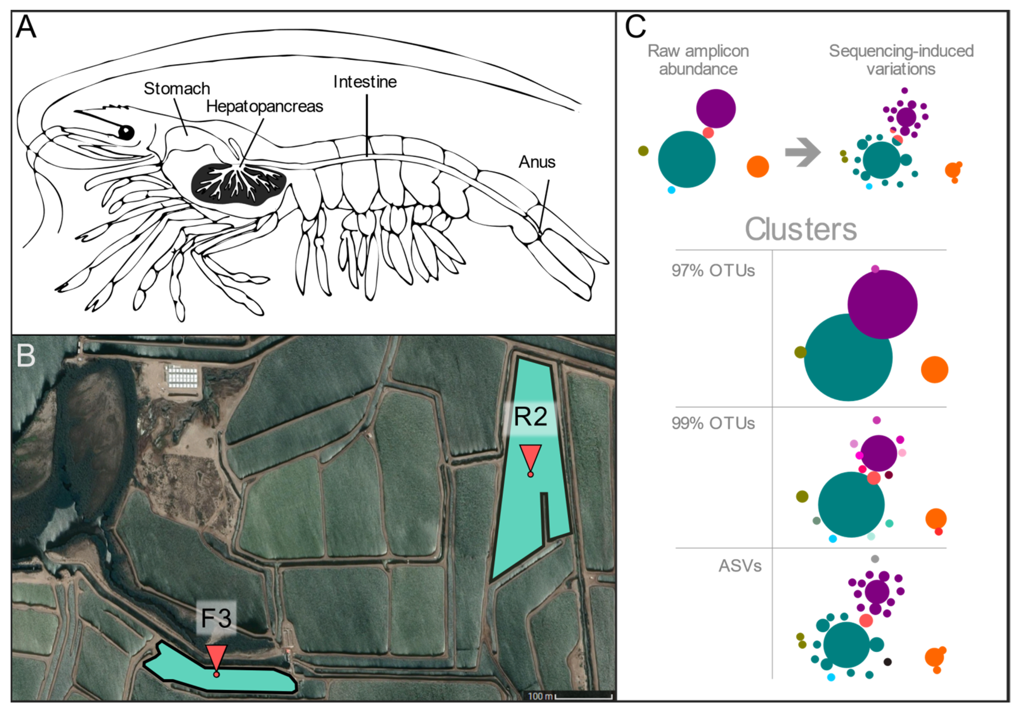Genes 12 00564 g001 Genes 12 00564 g001