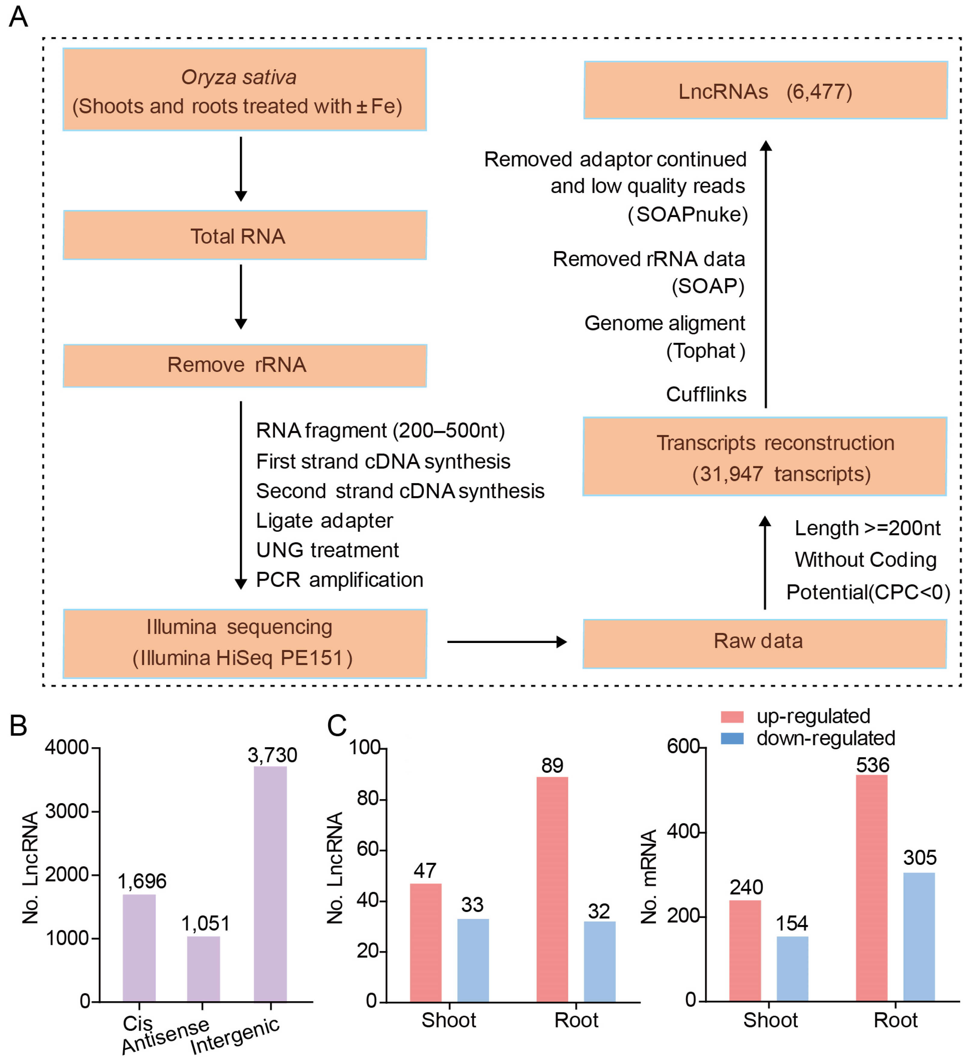 Genes 12 00567 g002 Genes 12 00567 g002