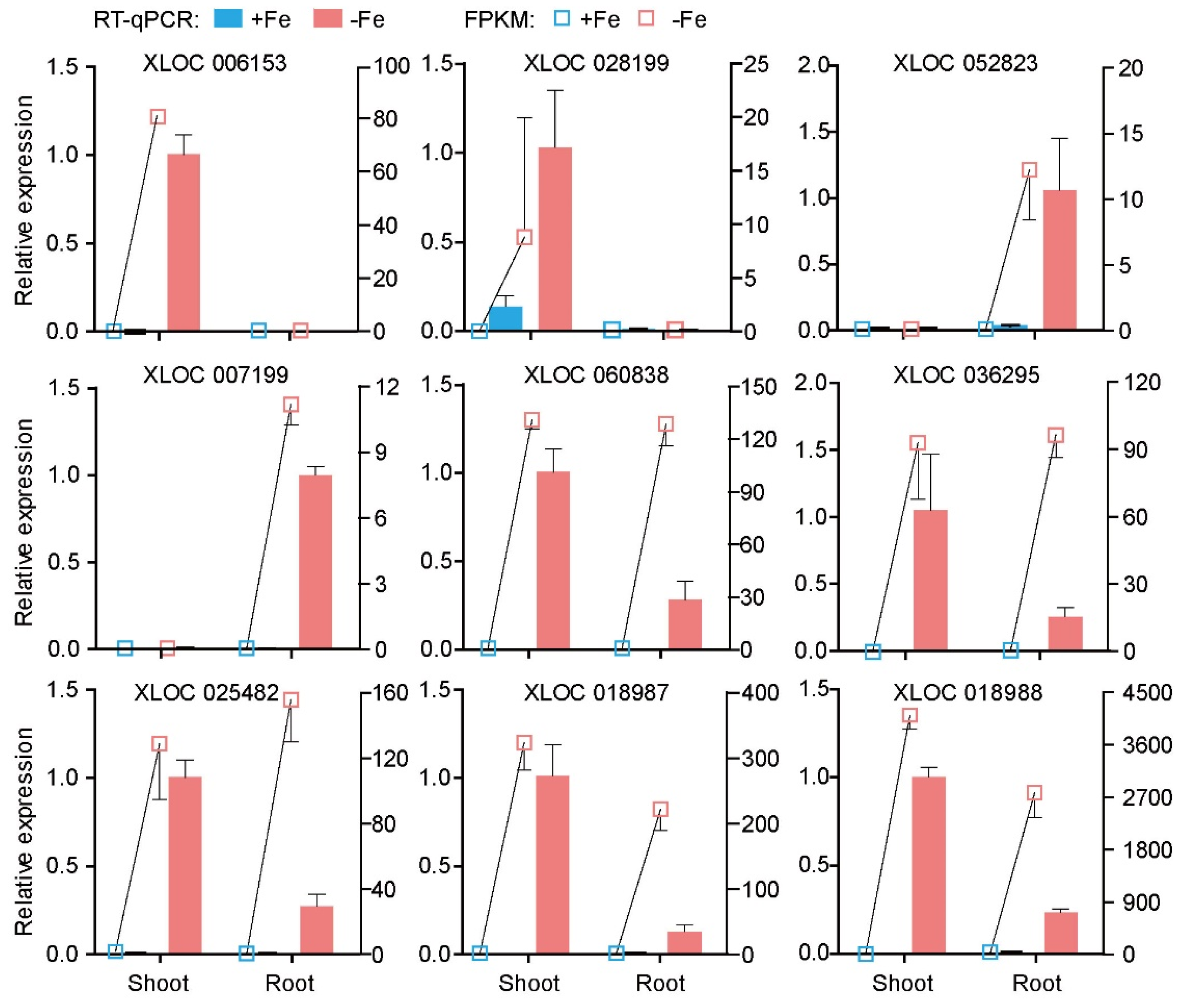 Genes 12 00567 g004 Genes 12 00567 g004