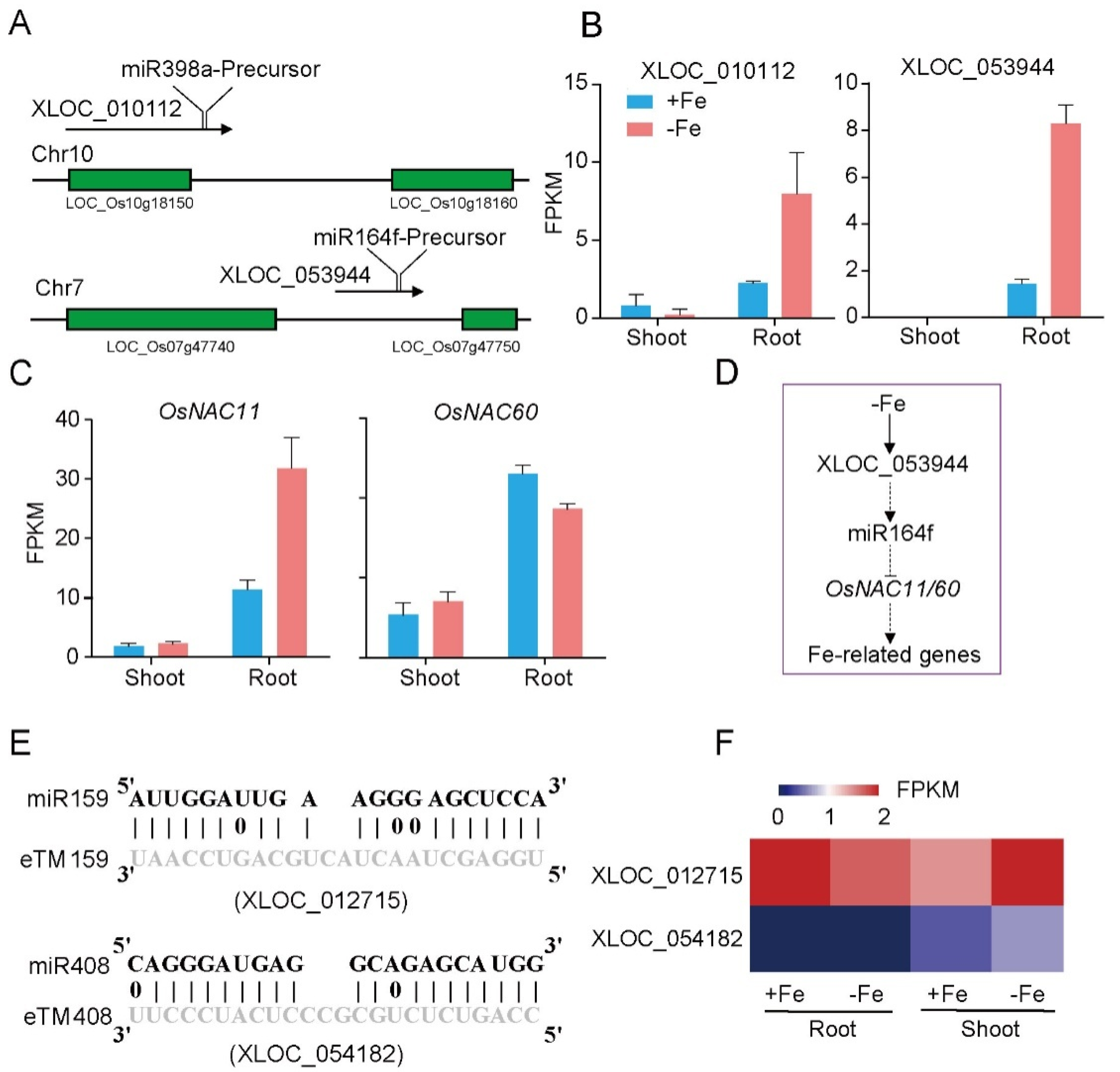 Genes 12 00567 g005 Genes 12 00567 g005