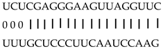 Genes 12 00567 i004 Genes 12 00567 i004